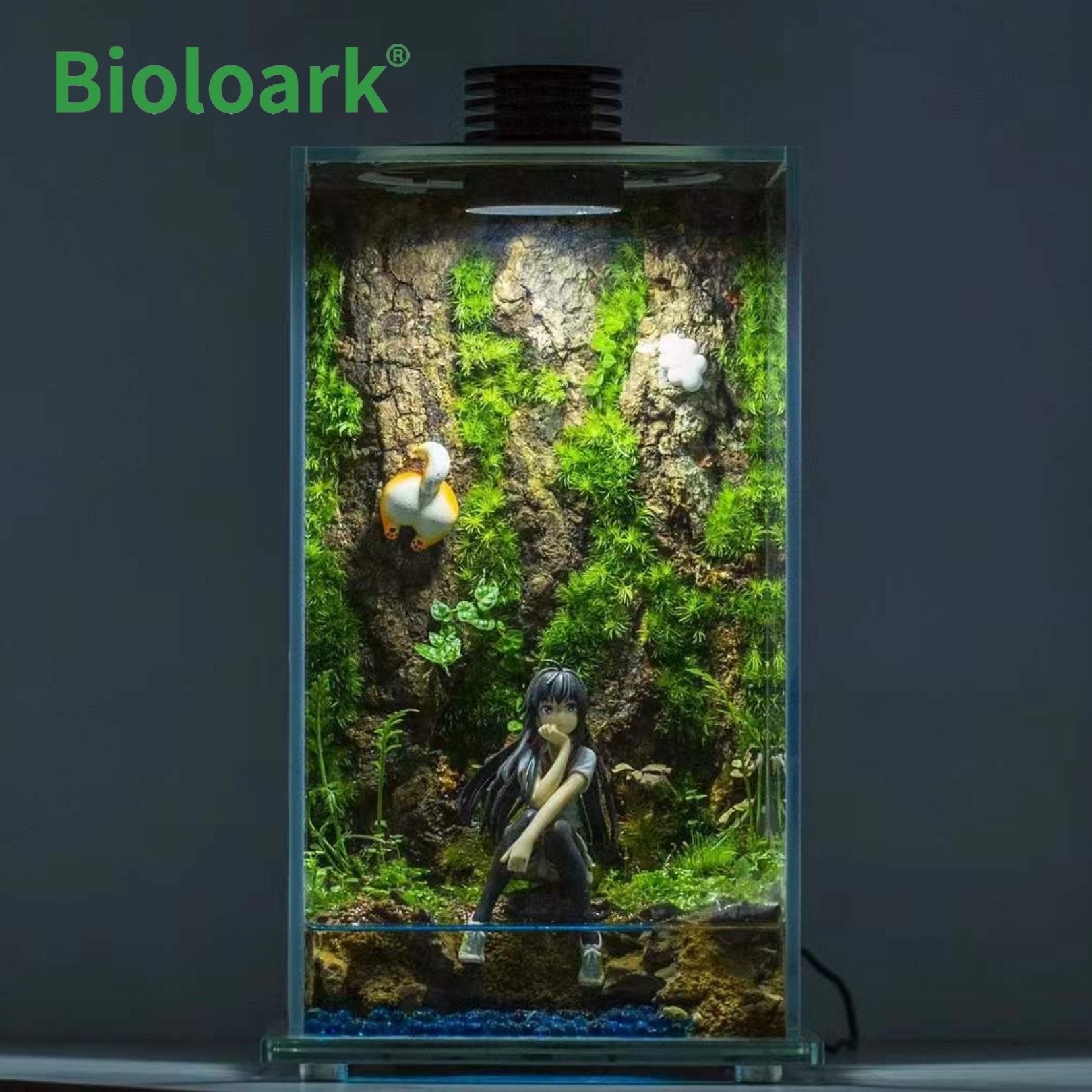 Bioloark Enclosed Terrarium Tank - Glass Habitat for Plants & Reptiles (FD 200 / FD 250) | Perfect for Indoor Gardening, Gecko & Frog Terrariums, Home Decor