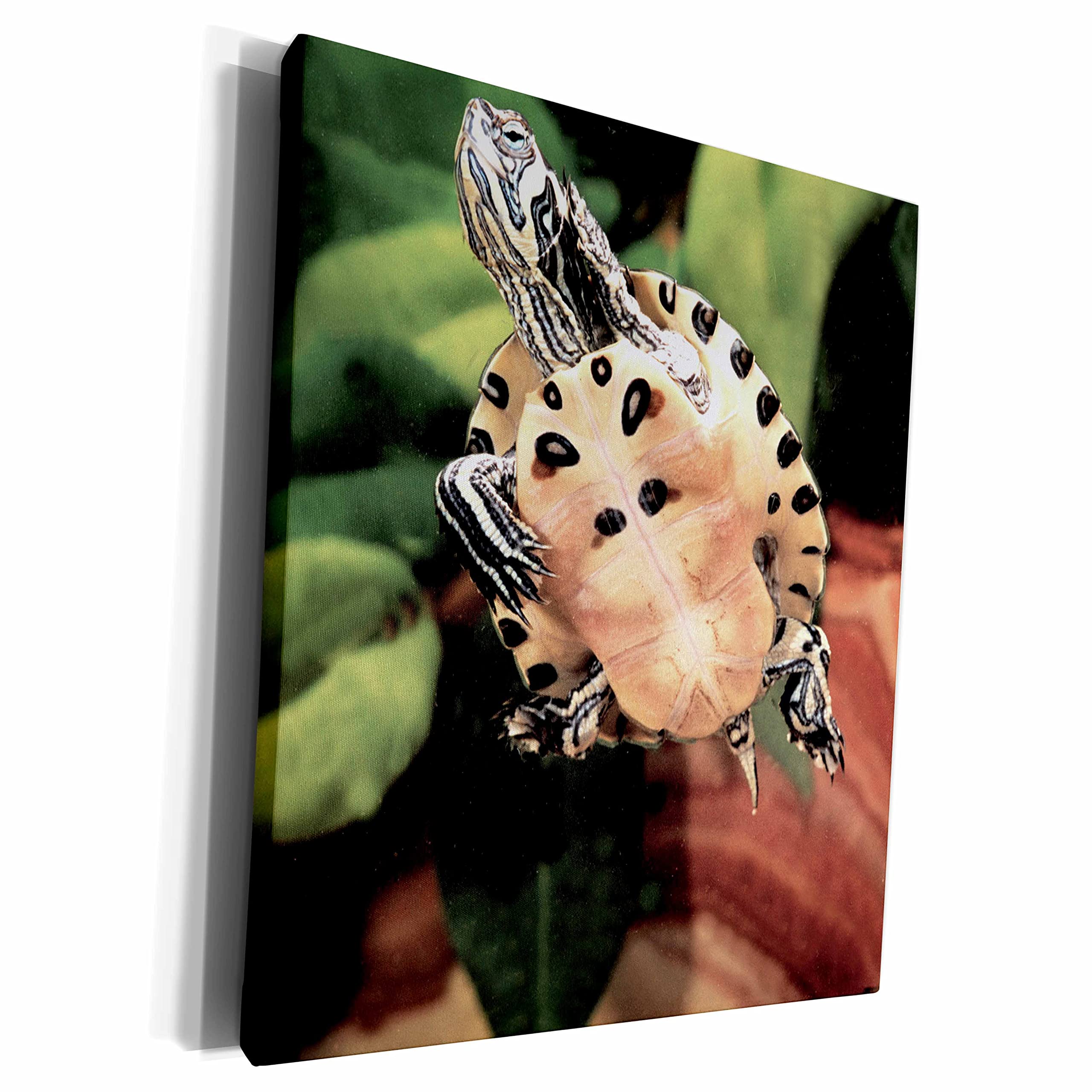 3D Rose Museum Grade Canvas Wrap - Premium Yellow Art Print for Home & Office Decor | Wall Art, Living Room, Bedroom, Gallery Display