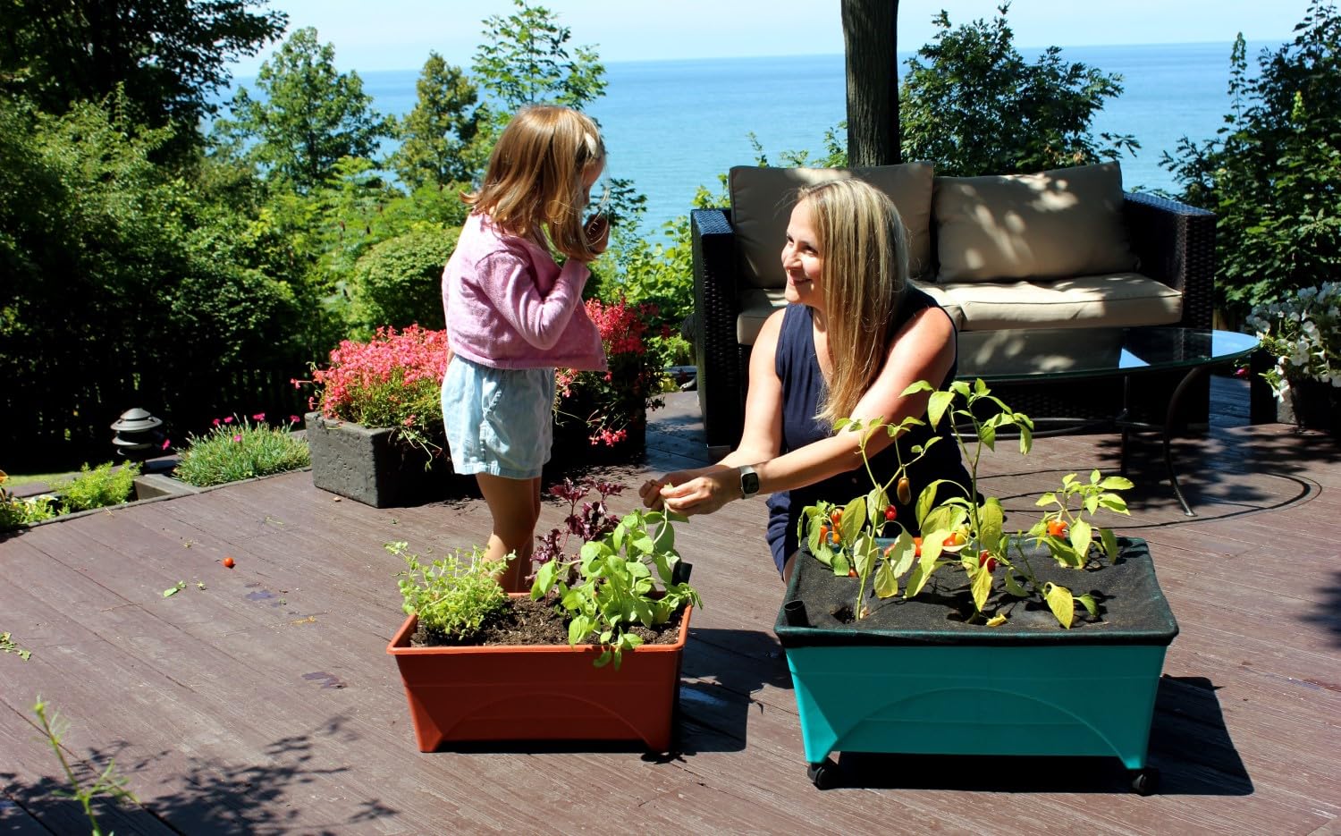 Emsco Group 2340 Patio Box Planter - Outdoor Garden Flower Box for Balcony, Deck, Porch & Window Sill Decor | Durable Resin Planter Box with Drainage Holes