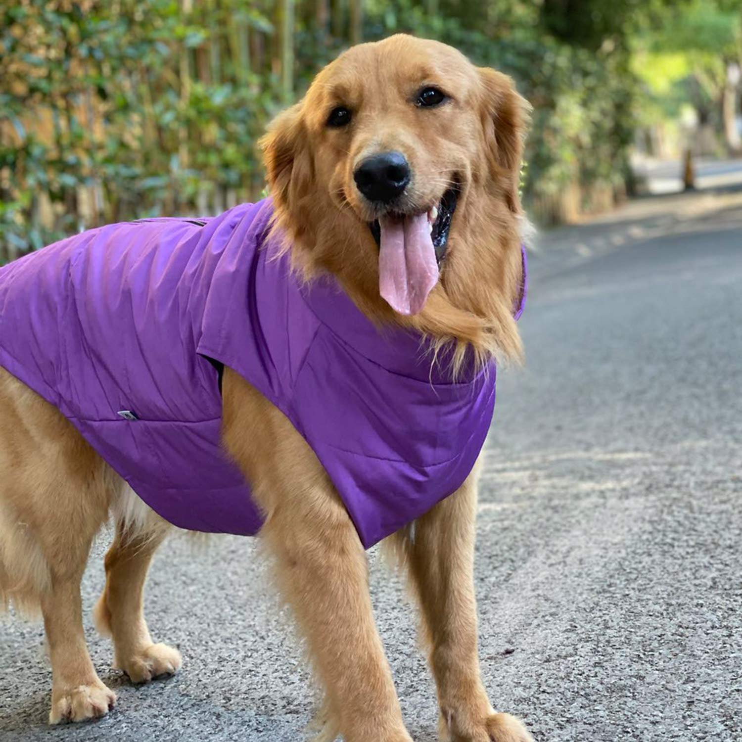 Waterproof Ultra Warm Dog Winter Vest with Cotton Lining - Windproof Zippered Jacket for Small, Medium & Large Dogs | Breathable Soft Dog Coat for Cold Weather Outdoor Activities (Purple, XXXL)