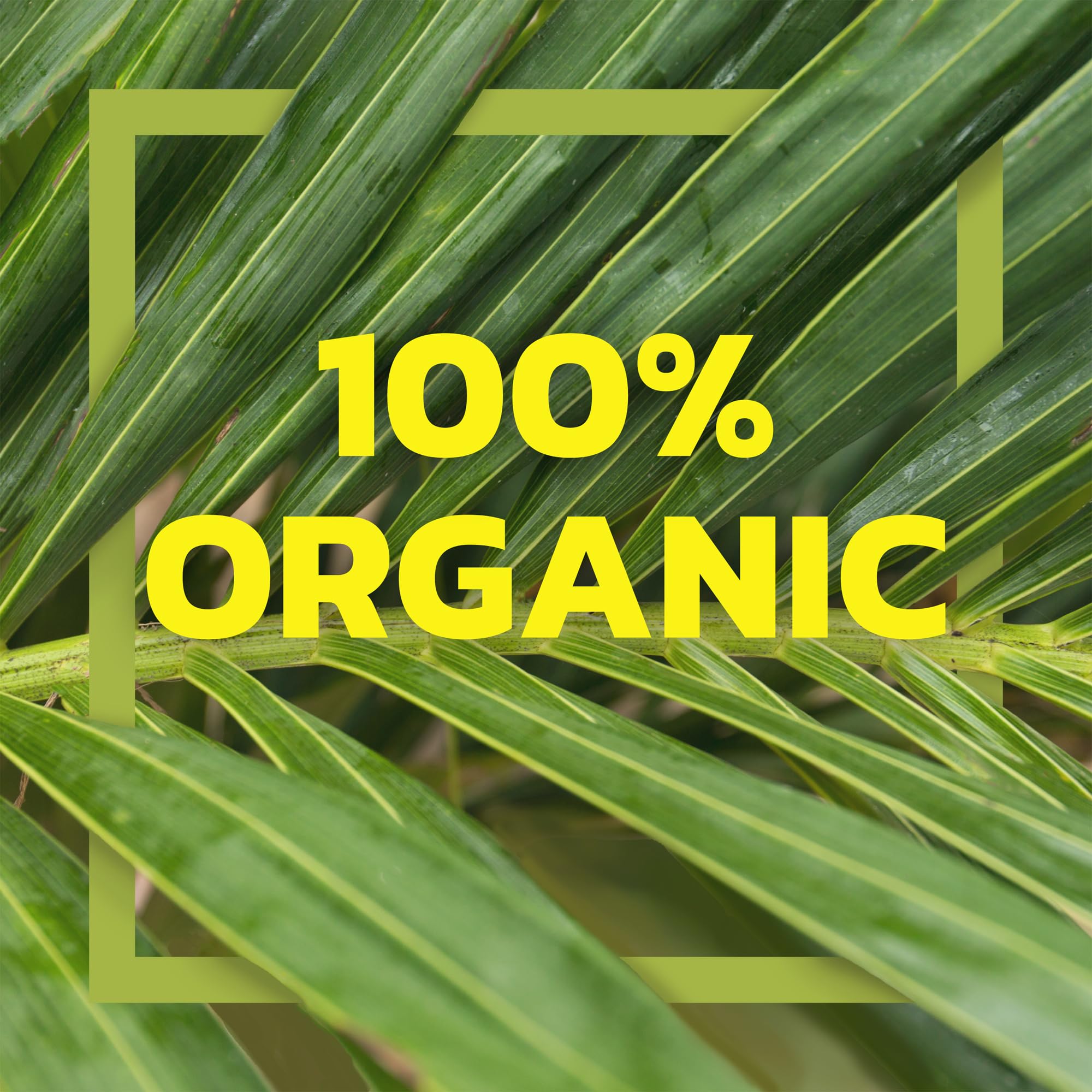 Edward & Sons Native Forest Organic Coconut Milk Powder - 33 lb Bulk Bag (528 oz) | Dairy-Free, Vegan, Gluten-Free | Perfect for Smoothies, Baking, Coffee Creamer & Thai Cooking