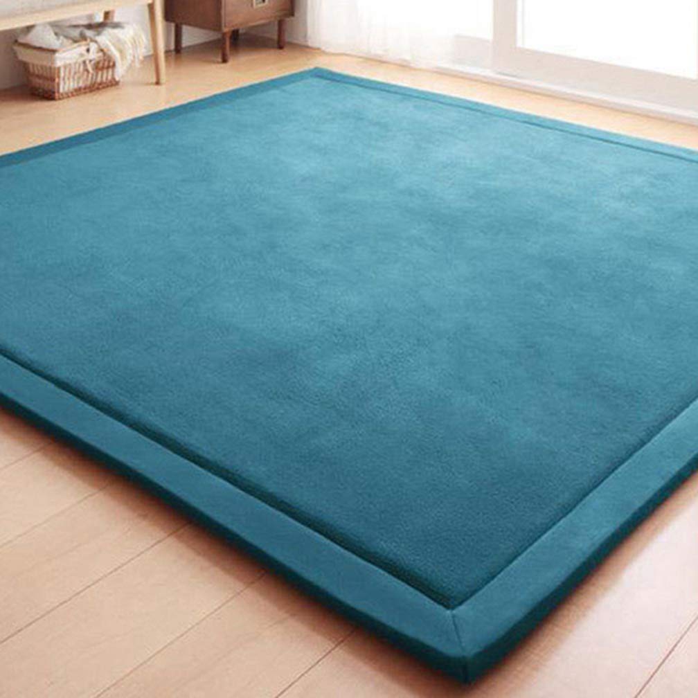 Premium Soft Coral Fleece Non-Slip Area Rug 4'x8' - Modern Rectangular Carpet for Living Room, Bedroom, Nursery - Indoor/Outdoor Home Decor Runner - Perfect for Kids Play Area, Pet-Friendly Floor Mat & Cozy Home Decor