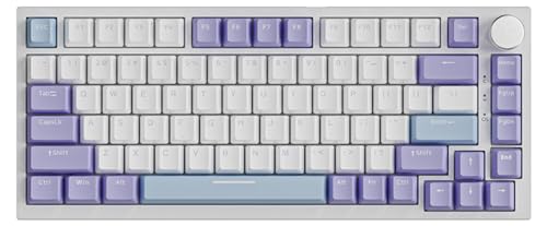 Weiß Lila(USB-C Wired,Meersalz Schalter)
