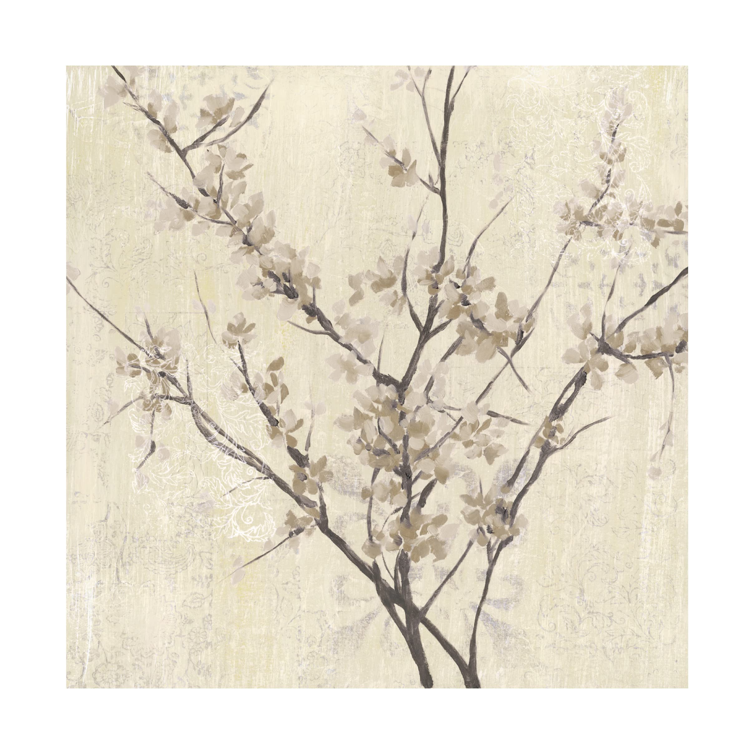 Jennifer Goldberger 'Neutral Blossoms On Cream I' Floral Canvas Wall Art Print - Modern Botanical Home Decor for Living Room, Bedroom & Office
