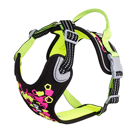 Neon/Licorice