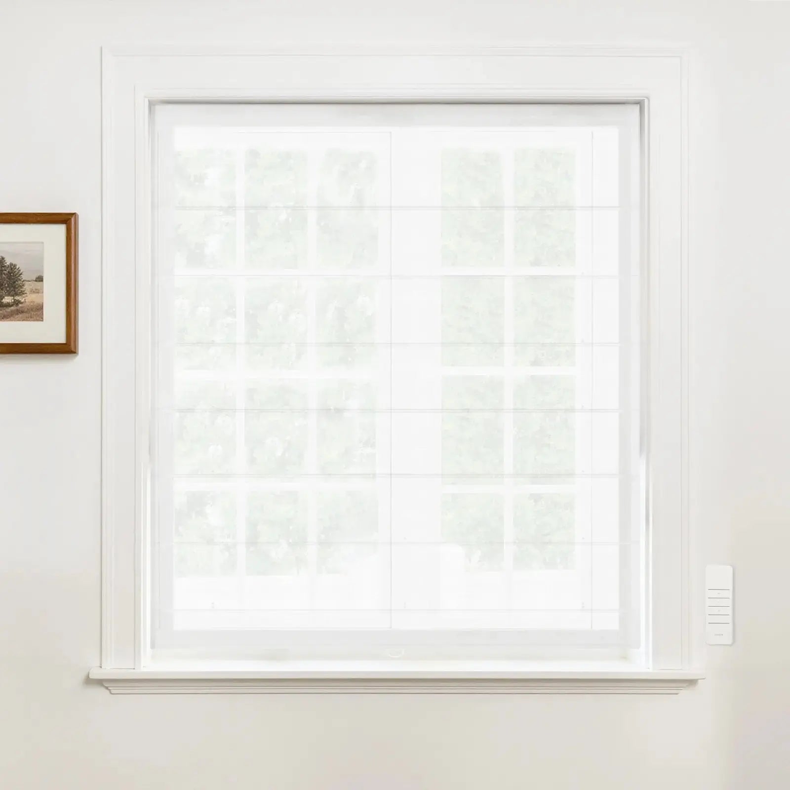 Alvin Motorized Sheer Light Filtering Roller Shade - Smart Home Window Treatment for Living Room & Bedroom