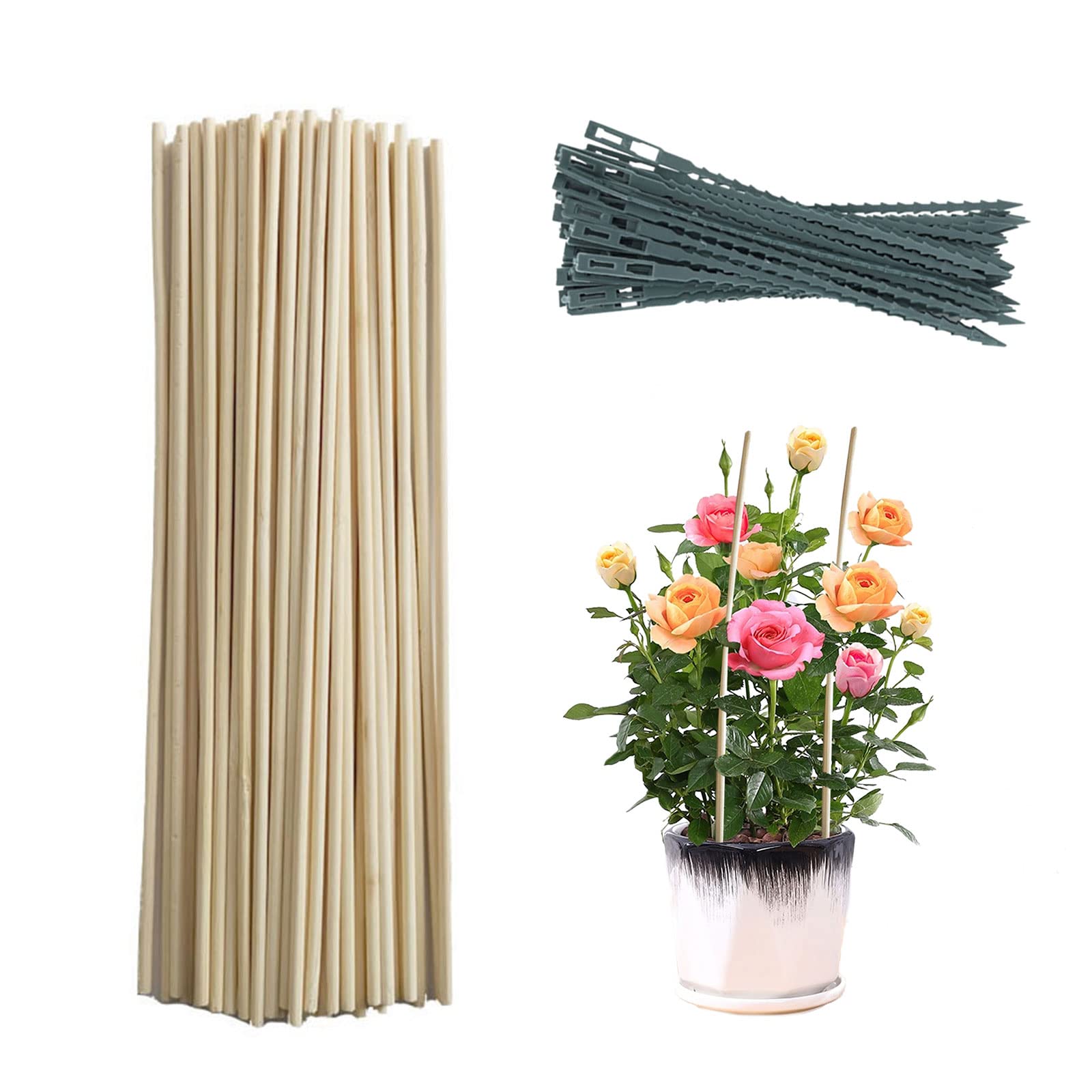 WERTSWF 50Pcs 7.8in Bamboo Plant Stakes - Wooden Garden Stakes with Ties for Potted Plants, Outdoor Gardening, Floral Arrangements & DIY Crafts - Perfect for Indoor/Outdoor Plant Support & Decorative Signage