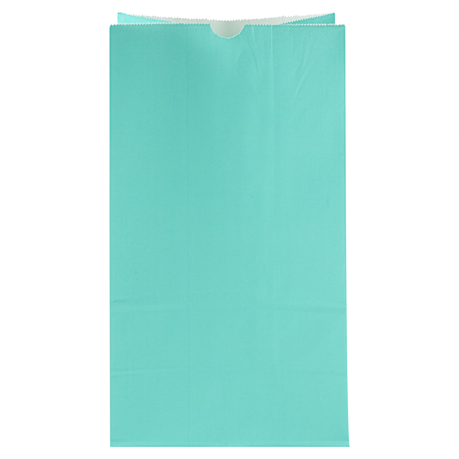 Premium Turquoise Paper Bags - 12 lb Weight Capacity, 7 x 4.25 x 12.5 Inches, 100 Count Box - Perfect for Gift Wrapping, Party Favors & Retail Packaging