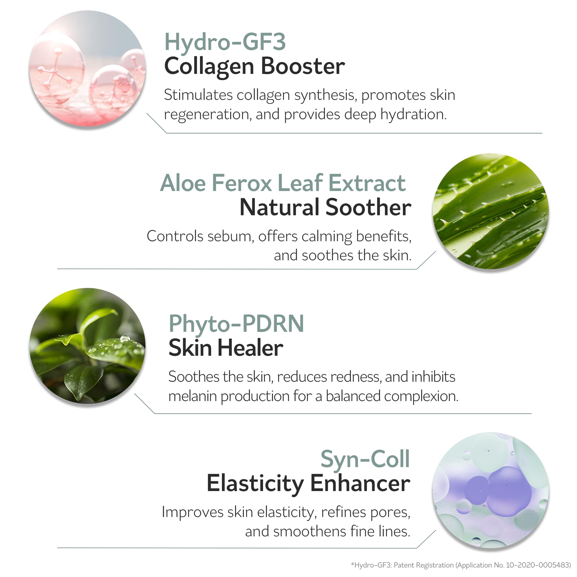 PESTLO Anti-Aging Skincare Set with Bakuchiol & Hyaluronic Acid | Rejurecipe Spicule Roller Serum & Baku:DN Cream | Firming Treatment for Wrinkles & Elasticity Boost | Perfect for Night Routine & Travel Skincare