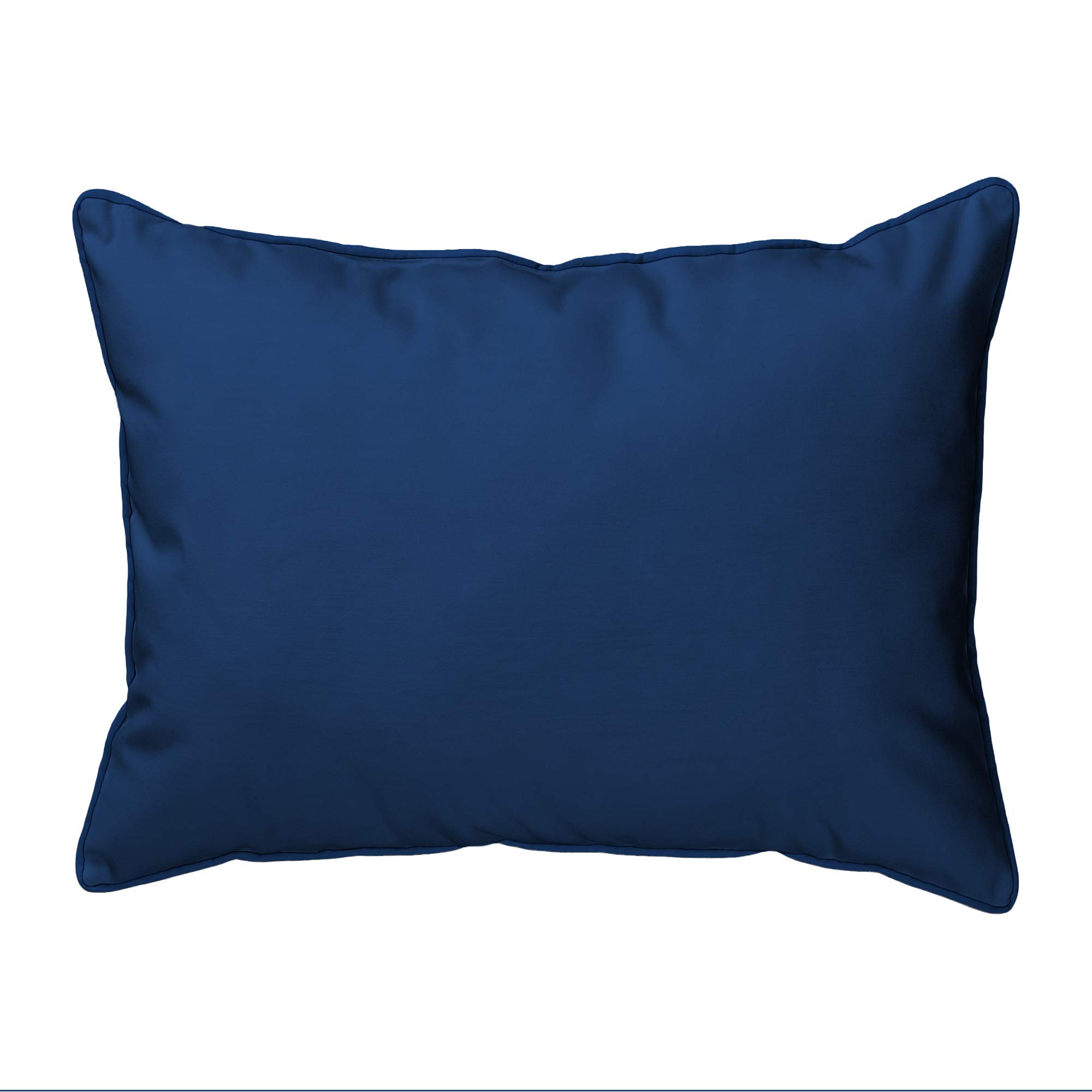 Betsy Drake Tuna Pillow - 16x20 Inch Soft Plush Throw Pillow for Couch, Bed & Home Decor - Perfect for Cat Lovers & Unique Gift Ideas