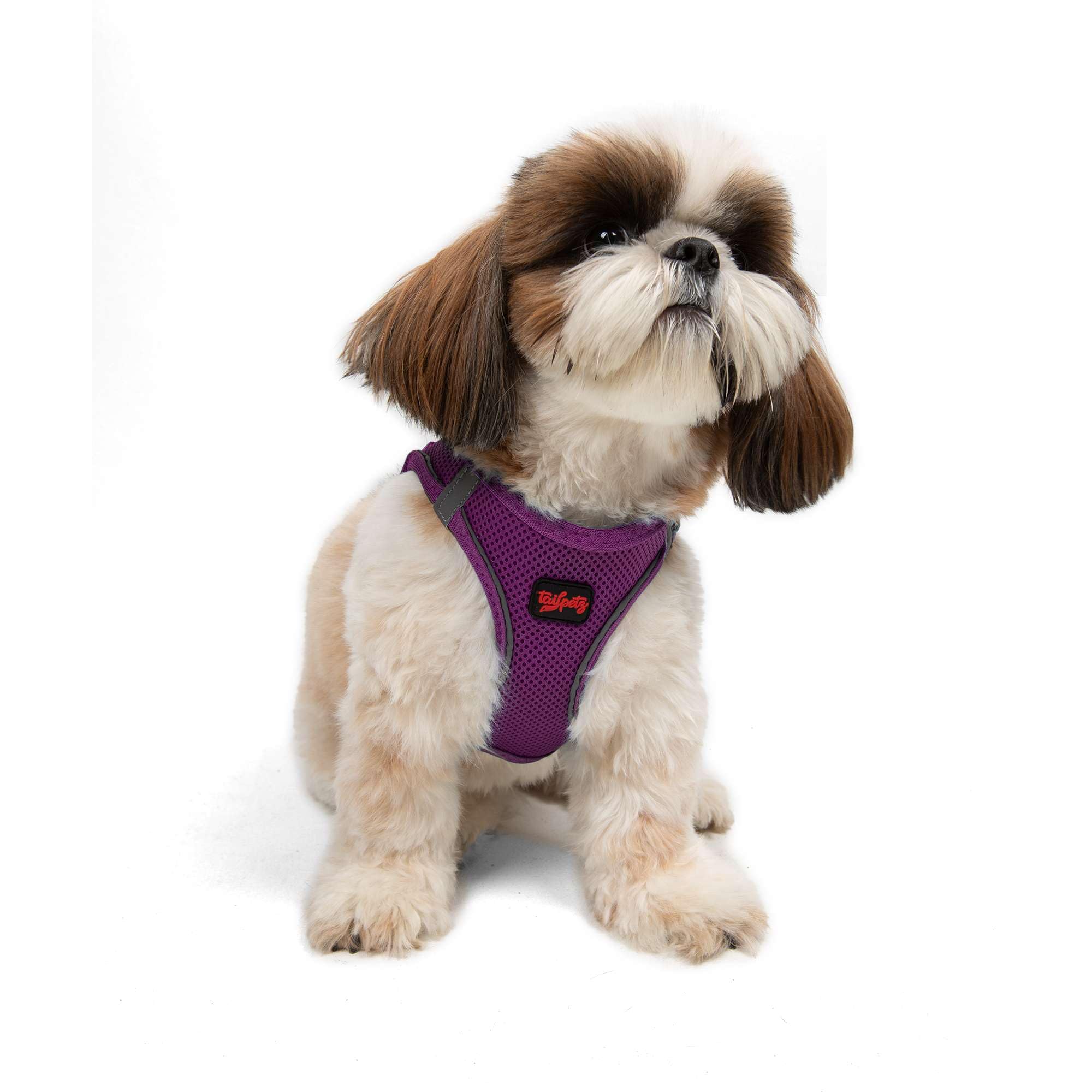Tailpetz Adjustable No-Pull Dog Harness for Small Dogs - Purple Reflective Step-in Puppy Harness for Training, Walking & Outdoor Adventures (Size S) - Perfect for Small Breed Dogs & Puppies