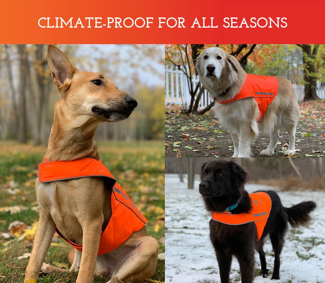 High Visibility Reflective Dog Vest - Adjustable Safety Vest for Walking, Hiking & Hunting | Fluorescent Blaze Orange Dog Apparel (Size L) - Perfect for Night Walks, Outdoor Adventures & Leash-Free Activities