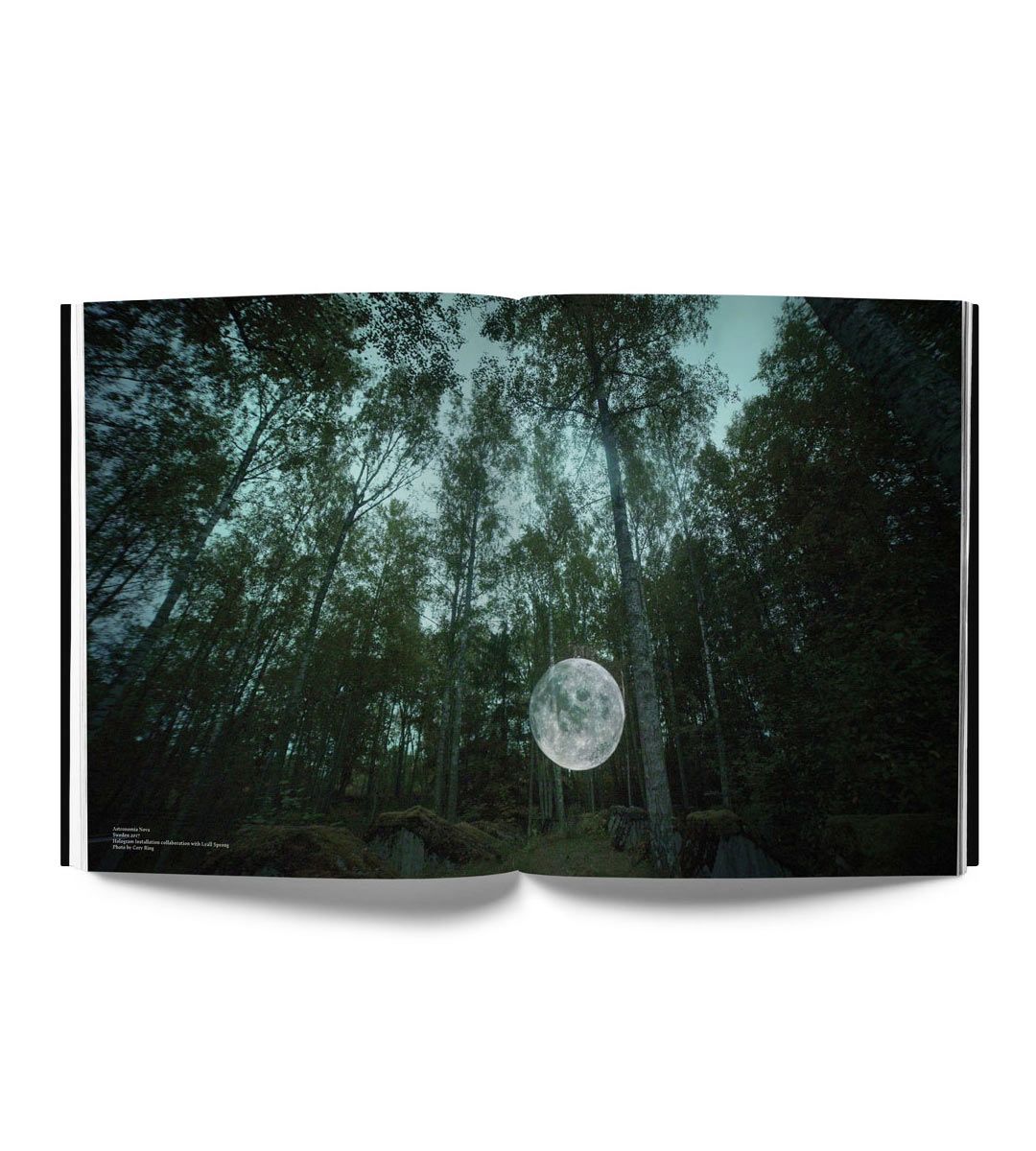 Faith47 Ex Animo Art Print - Premium Wall Decor for Home & Office | Perfect for Living Rooms, Bedrooms & Creative Spaces