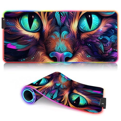 a38-mysterious cat