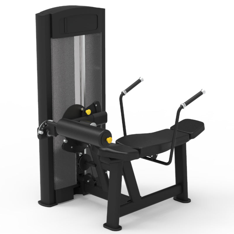 Pegasus 2S 2-in-1 Pin Loaded Lower Back & Abdominal Workout Machine for Home Gym Strength Training & Core Exercises