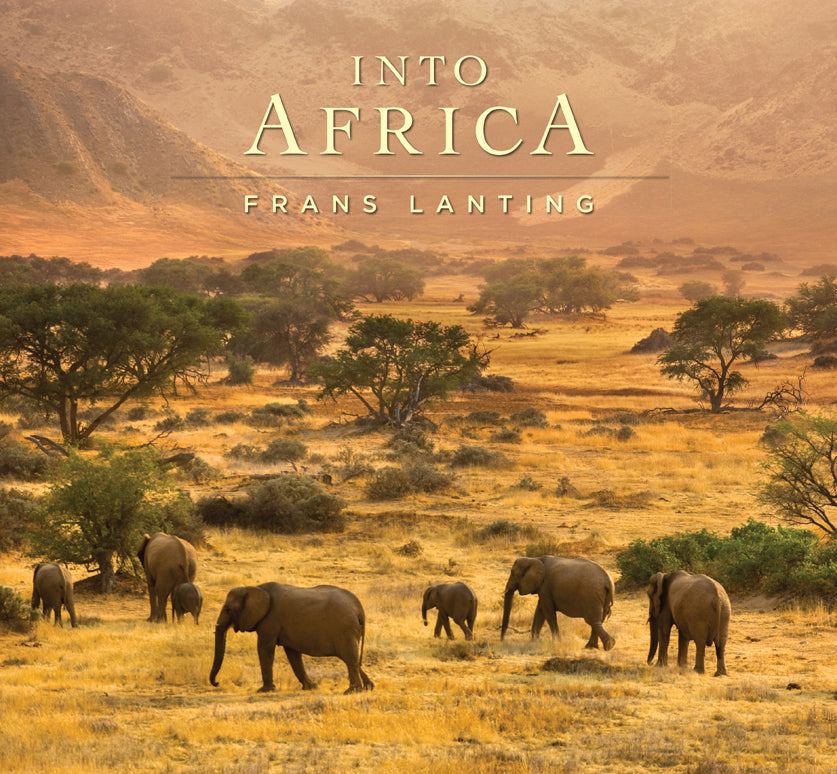 Into Africa - Premium Travel & Adventure Gear for Safari & Outdoor Exploration | Durable Backpacks, Camping Equipment & Safari Essentials