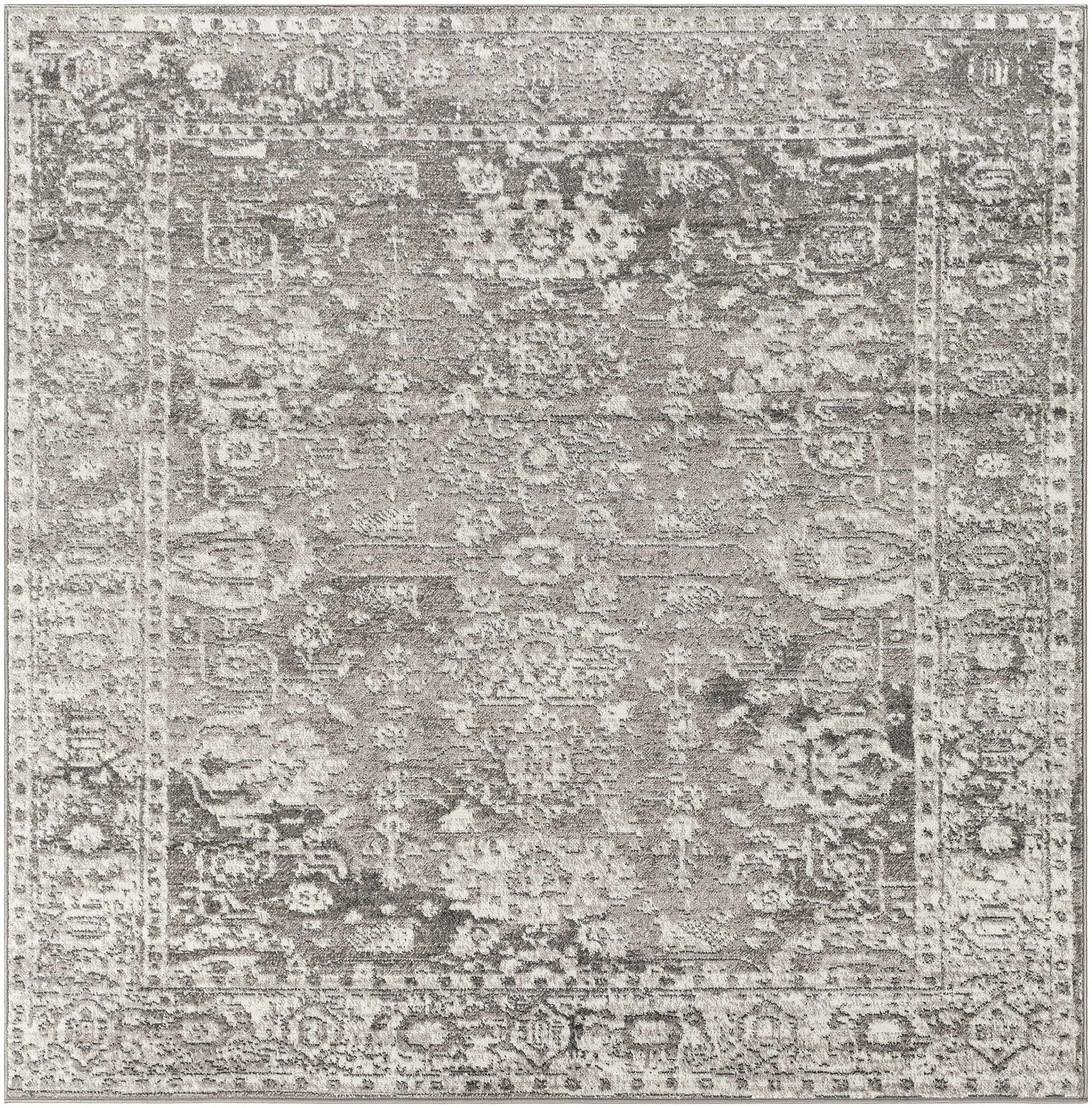 Hauteloom Tripp Transitional Area Rug - Soft Gray and White - 6'7