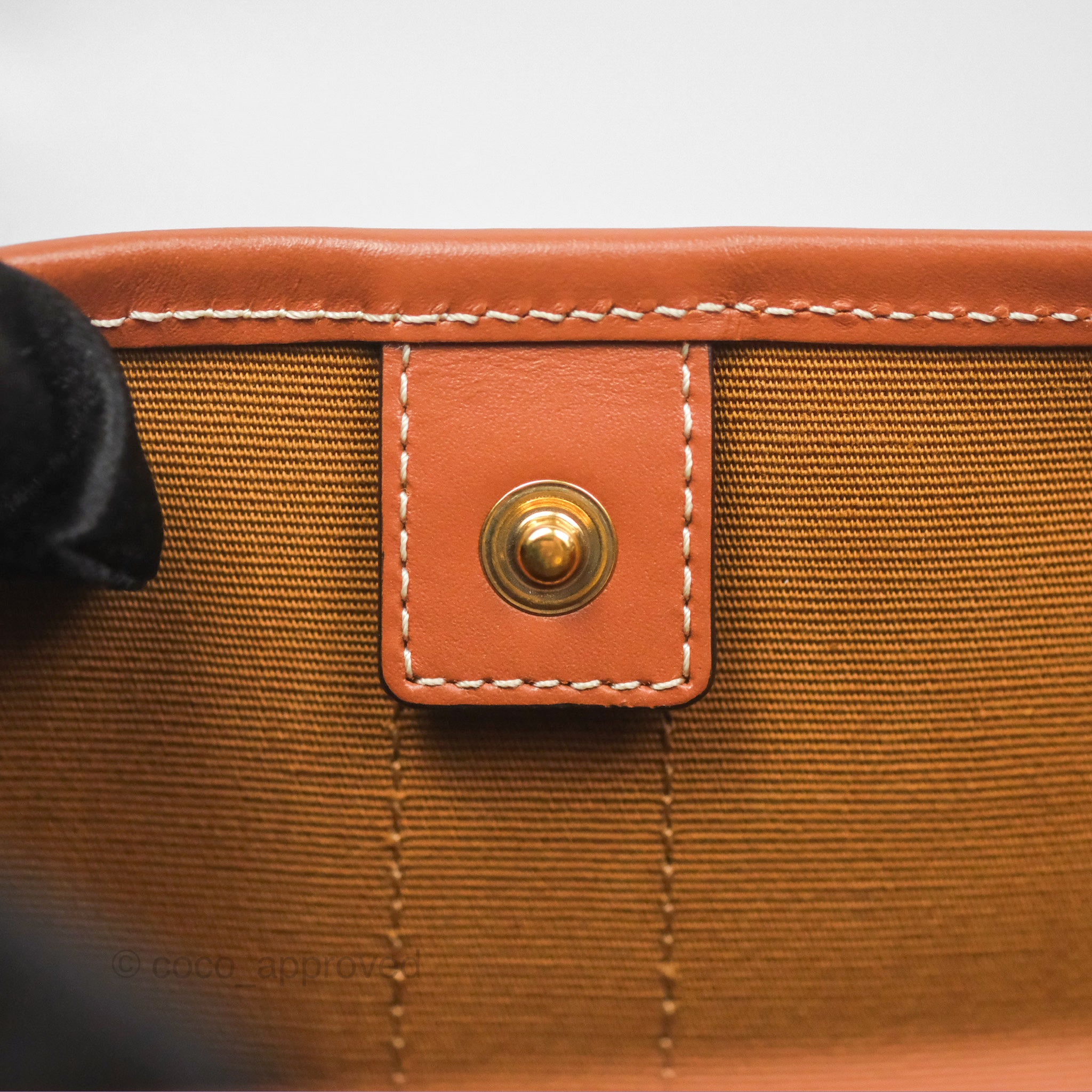 Celine Small Bucket Bag in Triomphe Canvas & Tan Calfskin Leather - Perfect for Everyday Use, Work & Travel