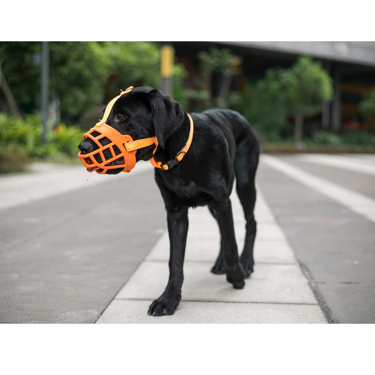 BARKLESS Soft Silicone Basket Dog Muzzle - Comfortable Breathable Muzzle for Small Medium Large Dogs - Allows Panting Drinking & Prevents Barking Biting Chewing - Includes Adjustable Collar & Training Guide - Perfect for Training Walks Grooming Vet Visits