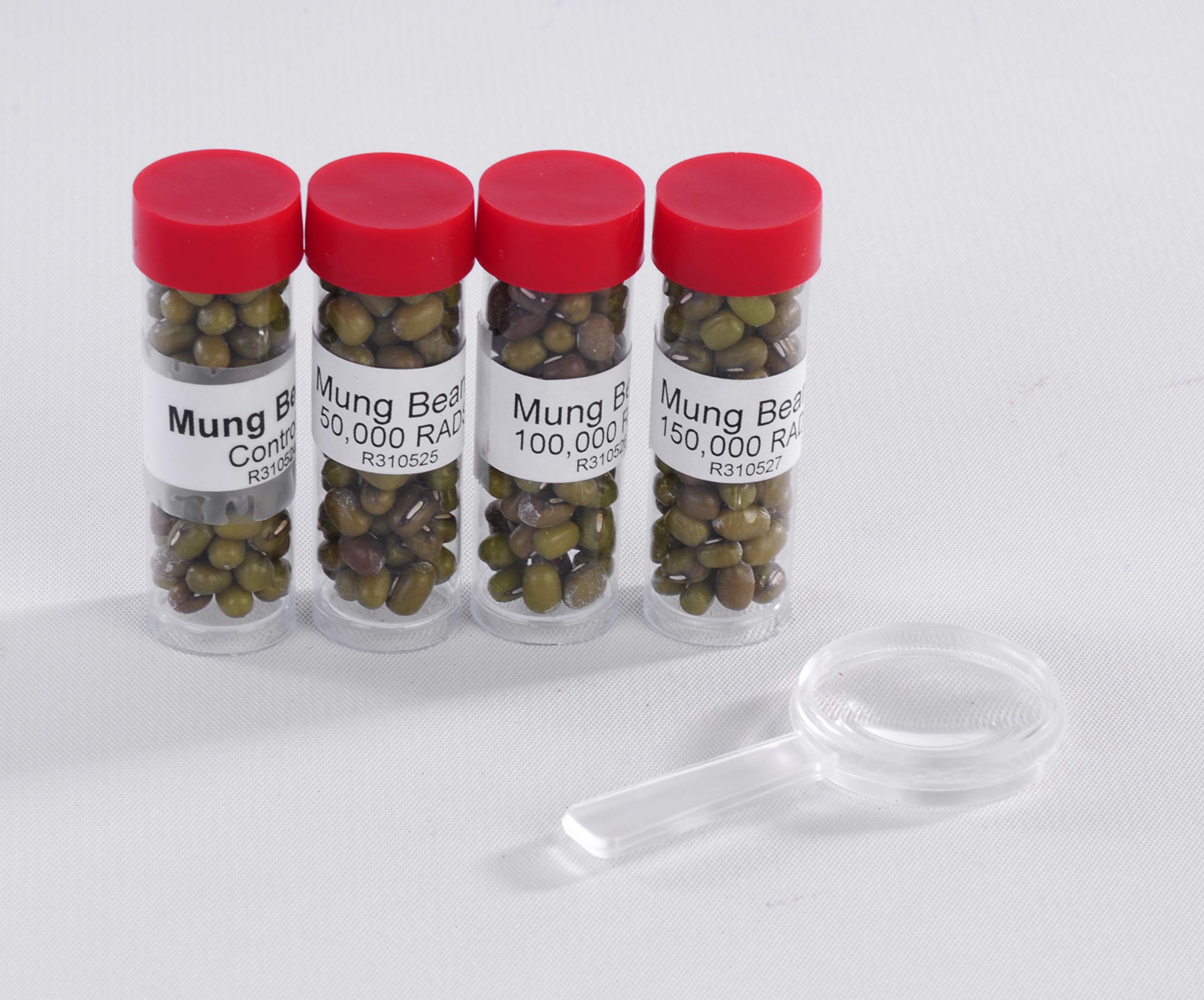 American Educational Irradiated Seed Germination Kit - Science Experiment for Kids, Classroom STEM Learning & Home Gardening Projects