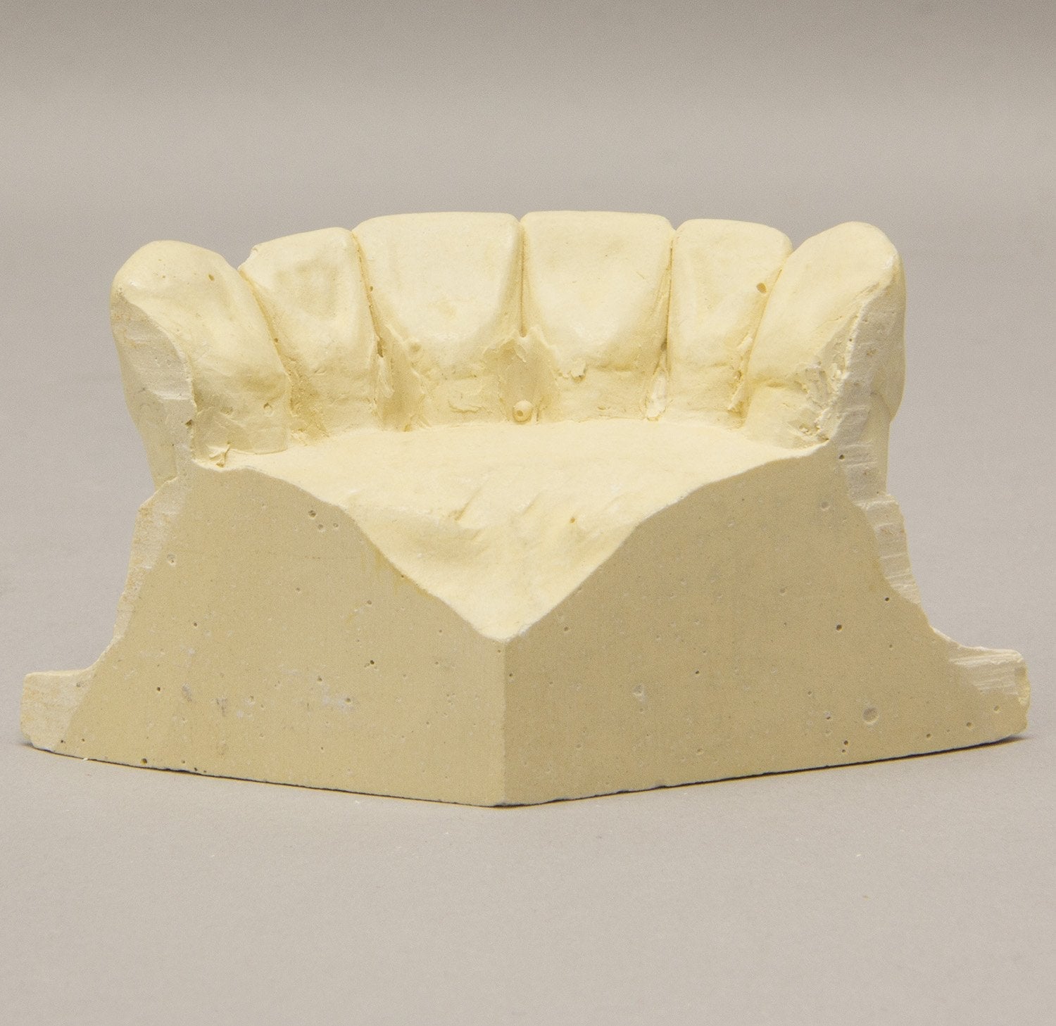 High-Quality Replica Orthodontic Study Model - Durable Dental Training Teeth for Students & Professionals | Perfect for Dental Schools, Clinics & Practice Sessions