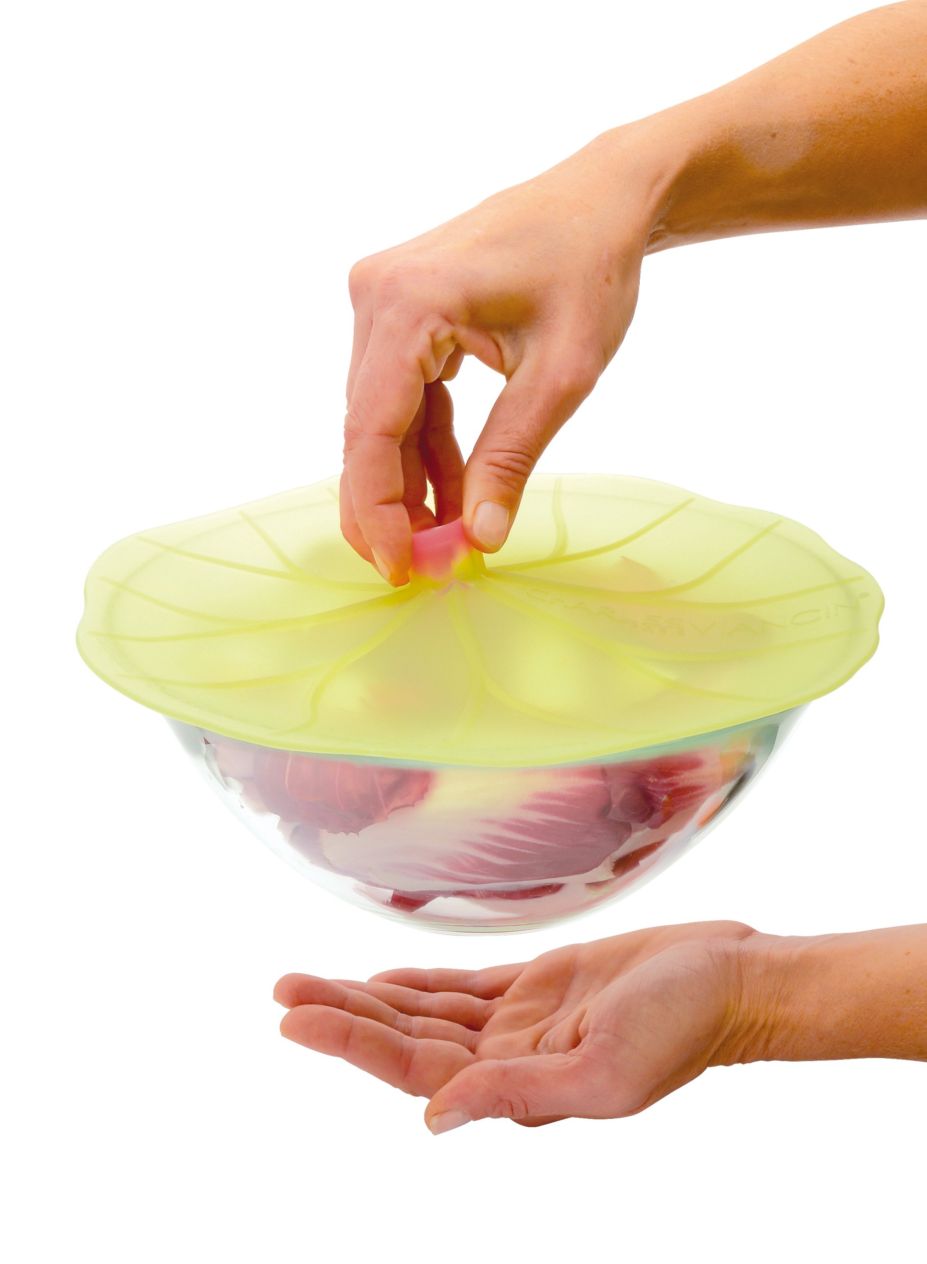 Charles Viancin Lilypad Lid - Small 6