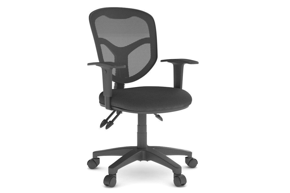 Plover Ergonomic Office Chair with Breathable Mesh Back - Adjustable Lumbar Support & Tilt Function for Home & Office Workspaces