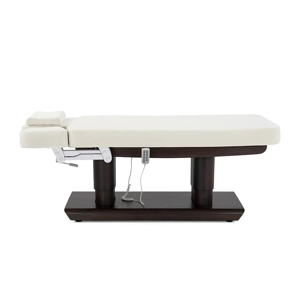 Electric Spa and Massage Bed - Professional Relaxation & Therapy for Home, Salon or Spa - Perfect for Pain Relief, Stress Reduction and Full Body Massage
