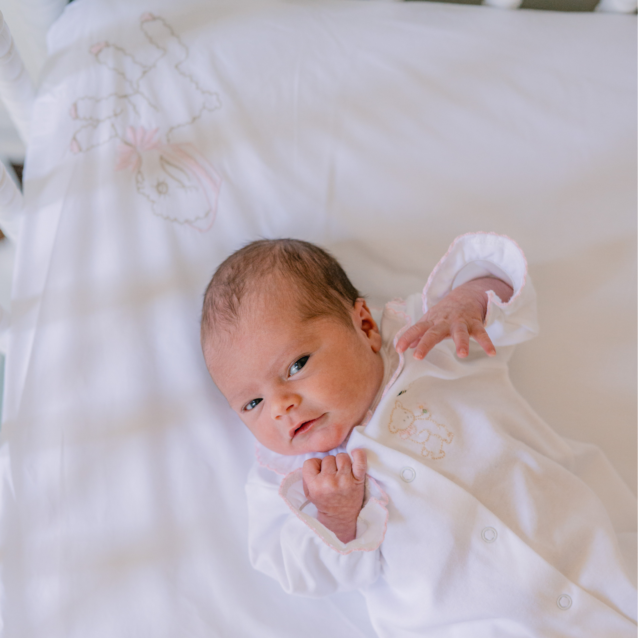 Soft Organic Cotton Baby Little Lamb Fitted Crib Sheet - Breathable & Hypoallergenic for Safe & Comfortable Nursery Sleep