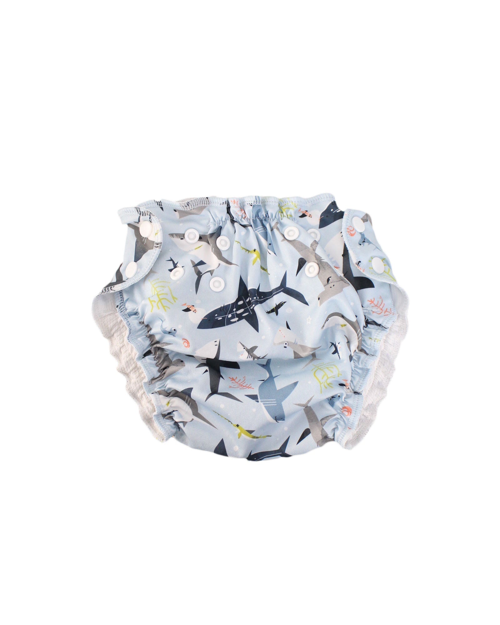 Apple Cheeks Swim Diaper for Babies 6 Months to 2 Years - Waterproof Reusable Swimwear for Pool, Beach & Splash Pad Fun