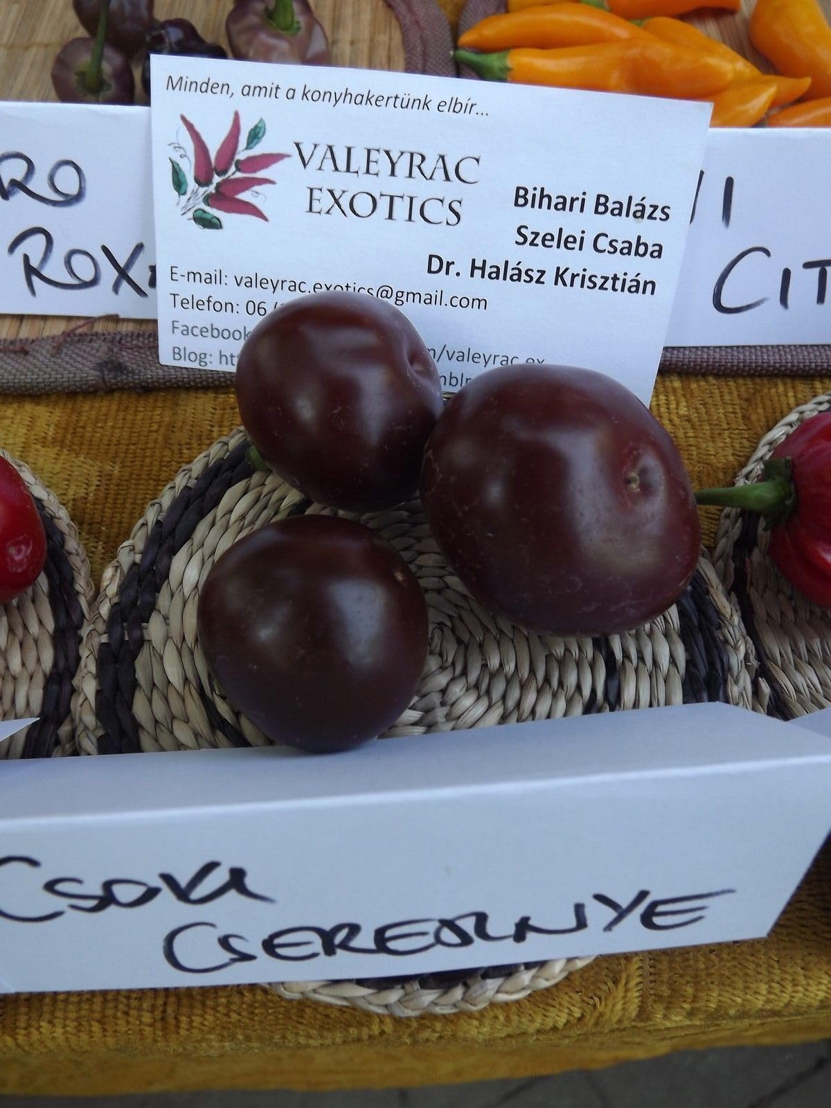 Chocolate Cherry Pepper Seeds - Sweet & Brown Heirloom Variety (5+ Seeds) - Perfect for Home Gardens, Containers & Gourmet Cooking