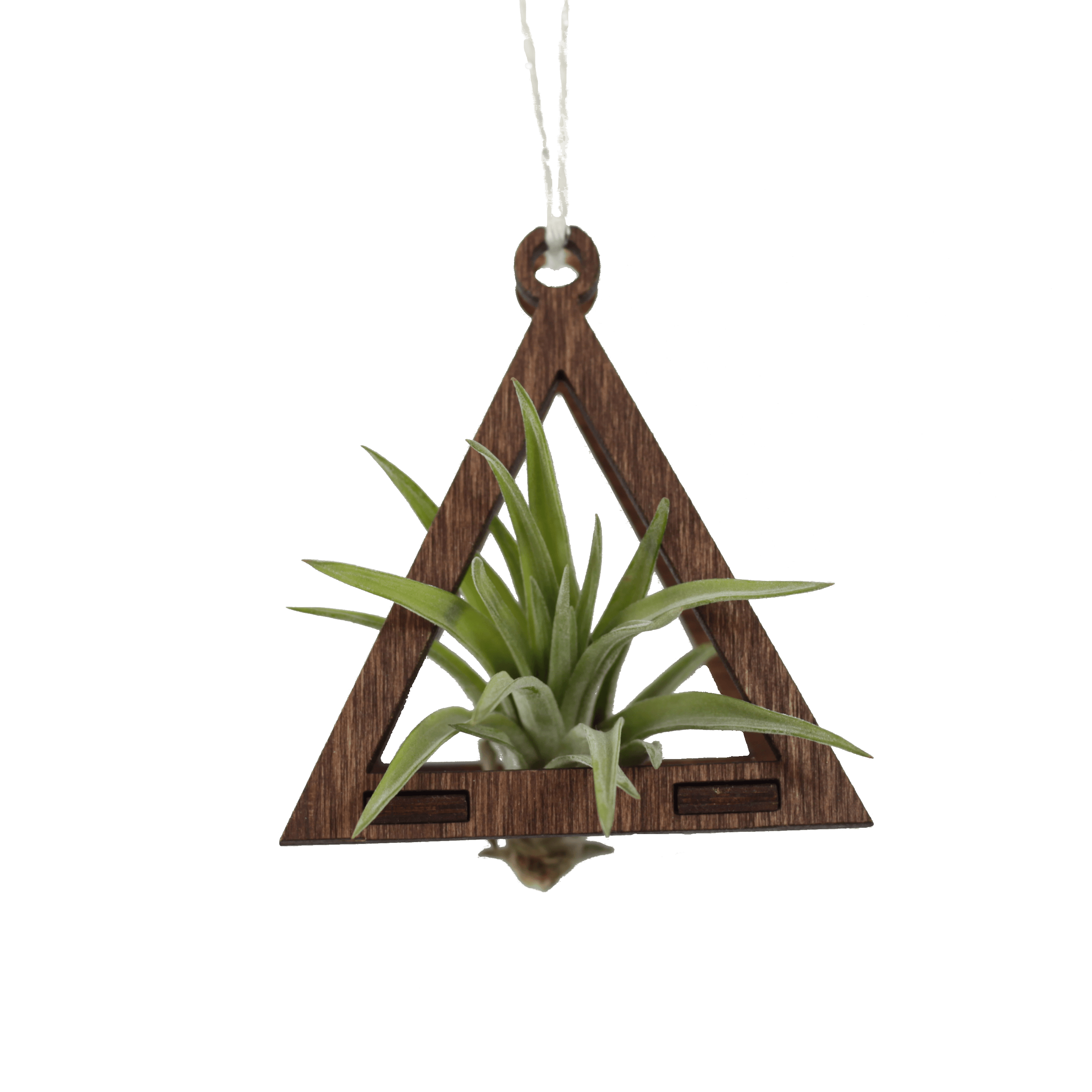 Mini Triangle Walnut Air Plant Hanger - Handmade Wooden Holder for Tillandsia, Succulents & Home Decor - Perfect for Boho, Office & Indoor Plant Display
