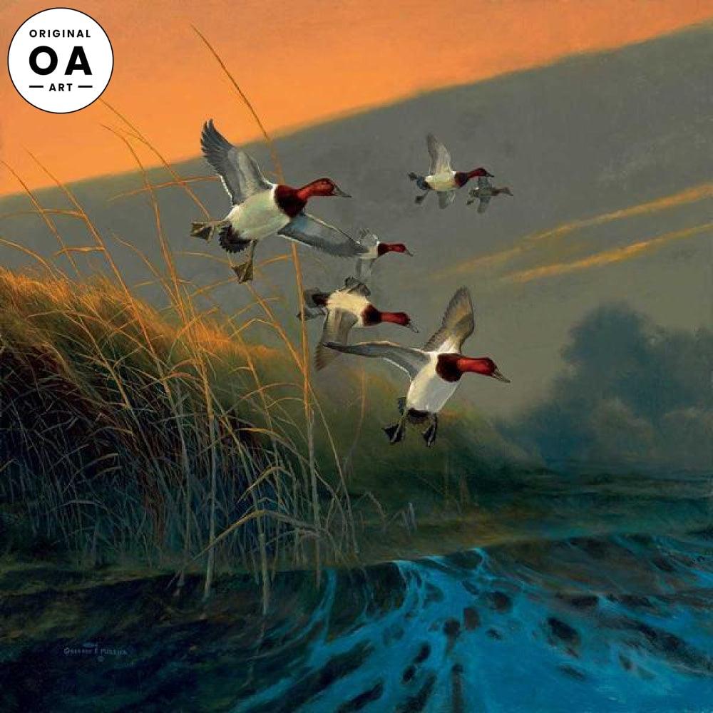 Premium Canvasback Duck Hunting Decoys - Realistic Waterfowl Decoys for Hunting & Outdoor Enthusiasts | Perfect for Lakes, Ponds & Wetlands