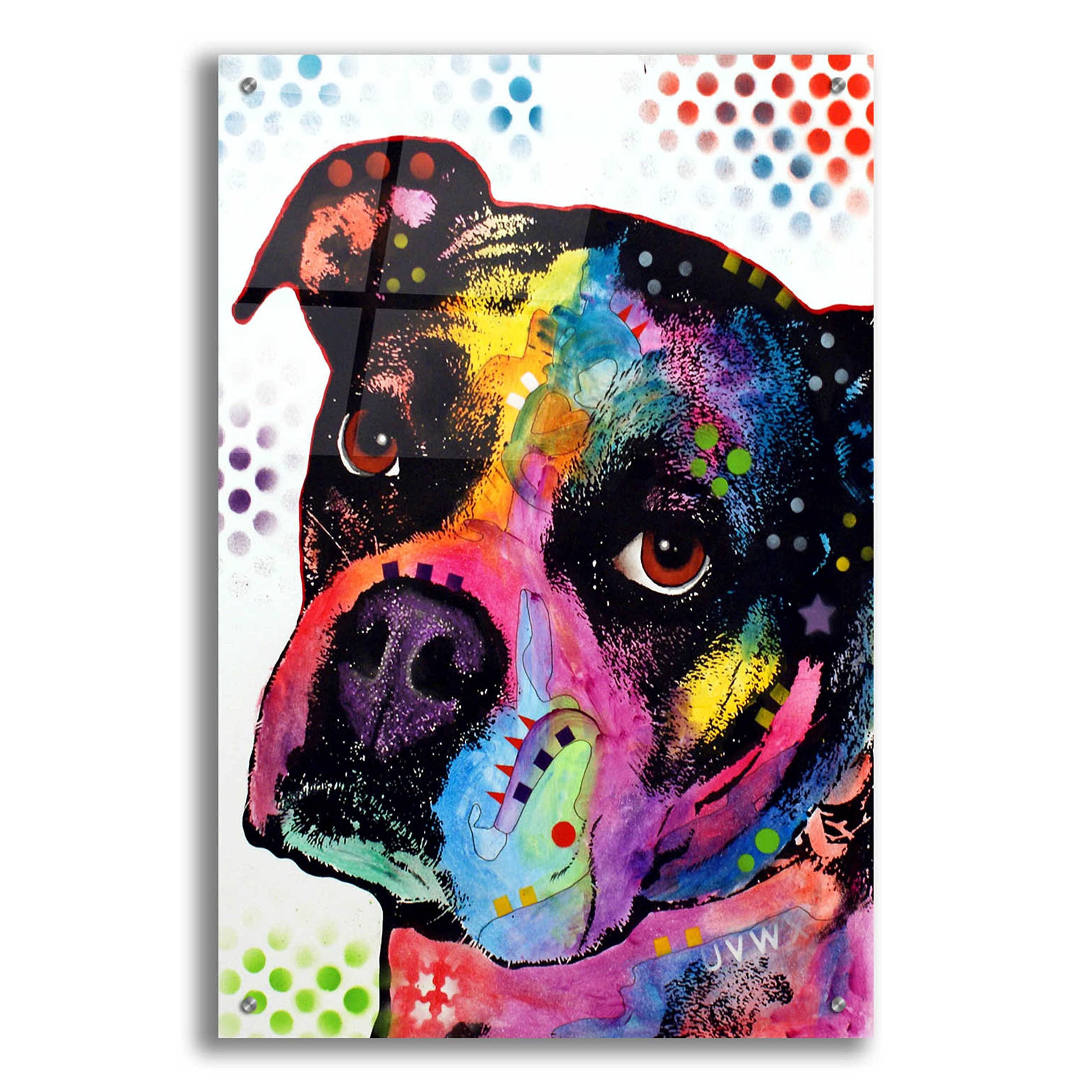 Epic Art 'Young Boxer' by Dean Russo - Vibrant Acrylic Glass Wall Decor 24x36 Inches - Perfect for Living Room, Bedroom & Office Wall Art