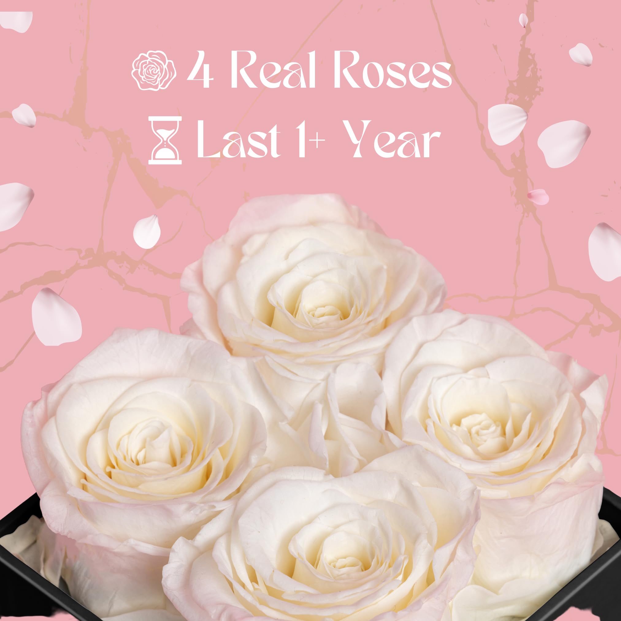 VLove® Forever Roses in a Box - Real Preserved Roses That Last 1 Year | Natural Eternal Flowers Gift for Women, Anniversary, Valentine's Day | Luxury White Rose Display for Home Decor, Wedding Centerpiece & Romantic Surprise