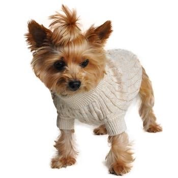Soft Combed Cotton Cable Knit Dog Sweater - Warm Oatmeal Color for Small to Medium Dogs - Perfect for Winter Walks & Cozy Indoor Wear