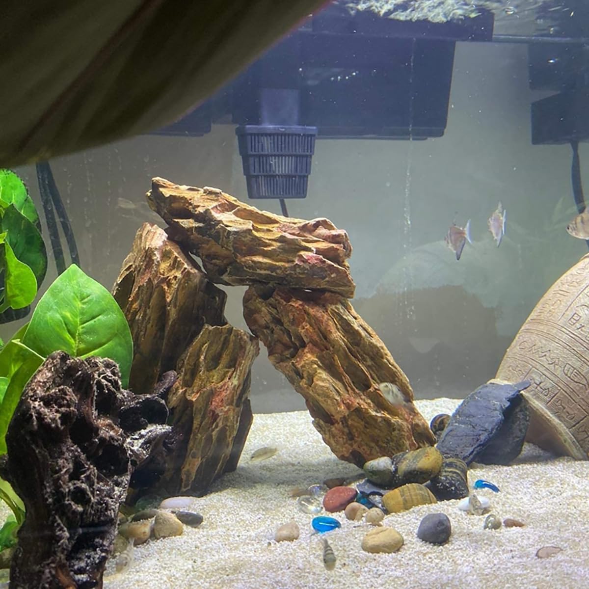 Natural Dragon Stone Aquarium Rocks - 10lb Mixed Sizes for Aquascaping, Fish Tank Decoration & Micro Landscapes | Perfect for Freshwater Shrimp Tanks, Betta Habitats & Zen Water Features