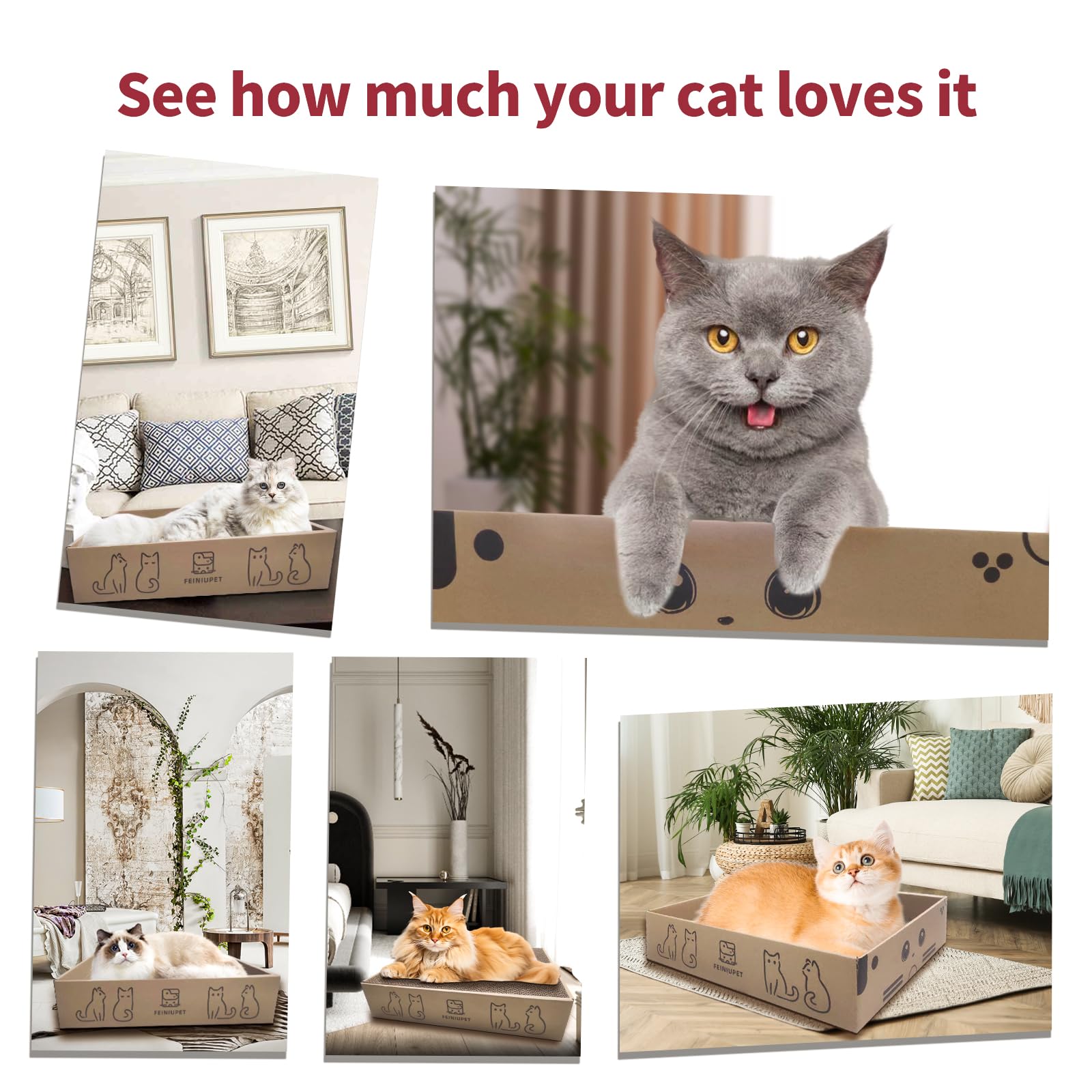 Premium 3-Piece Cat Scratching Board Set with Double-Sided Scratch Pad & Cozy Cat Box - Durable Cat Furniture for Play, Scratching & Nap Time - Perfect for Indoor Cats, Kittens & Multi-Cat Homes