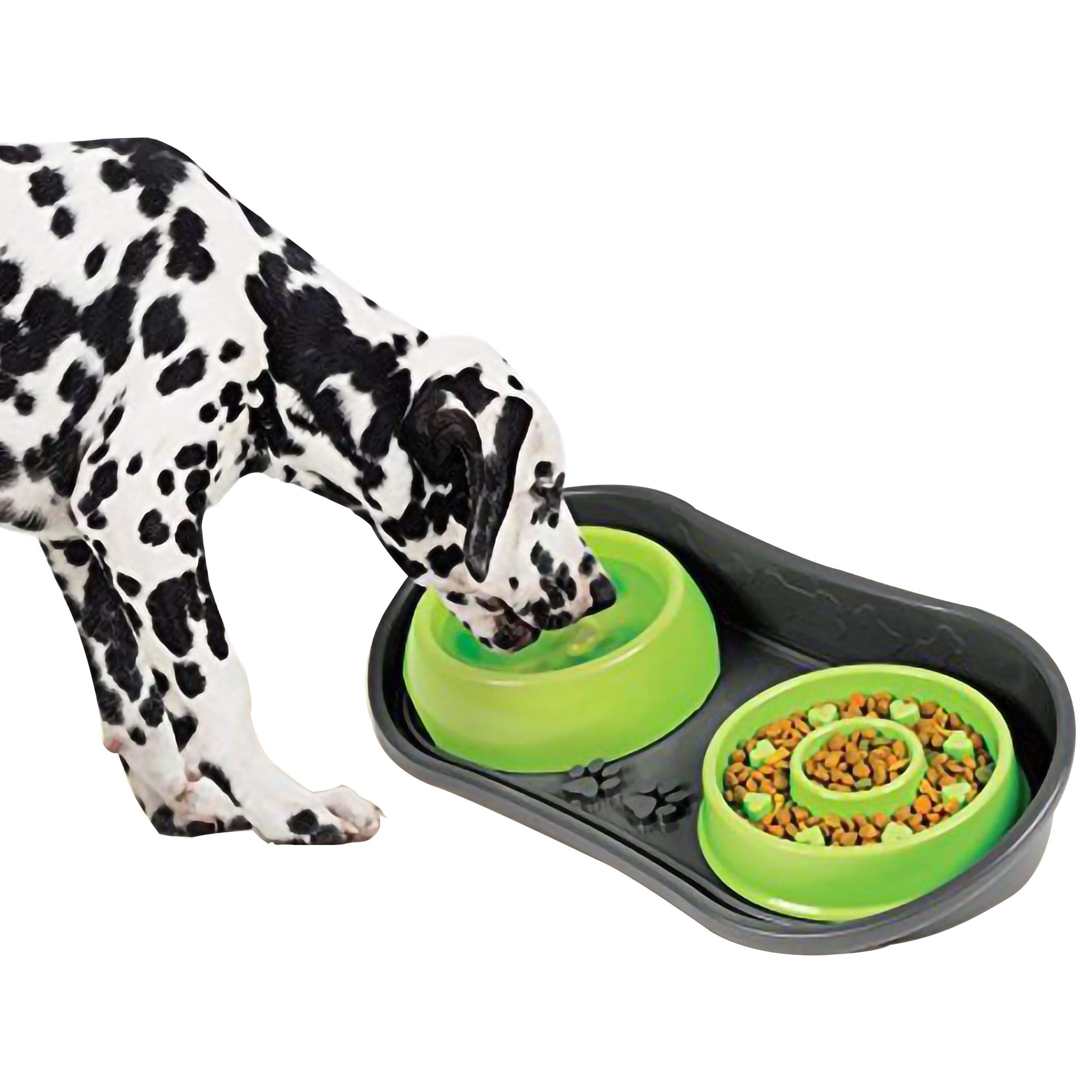Non-Slip Pet Feeding Mat with 2 Slow Feeder Bowls - Anti-Skid Dog Bowl Tray for Small & Medium Breeds - Waterproof Floor Protector for Messy Eaters - Perfect for Kitchen, Crate or Outdoor Use