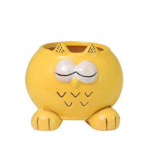 Owl Yellow