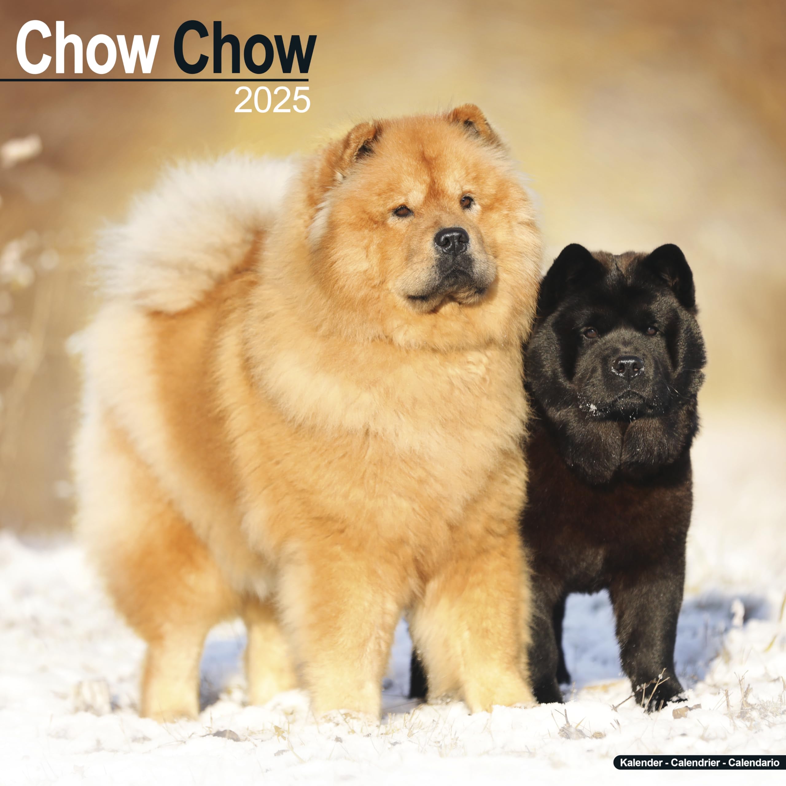 2025 Chow Chow Dog Breed Wall Calendar - 16 Month Square Planner for Home & Office Decor | Perfect Gift for Dog Lovers & Pet Owners