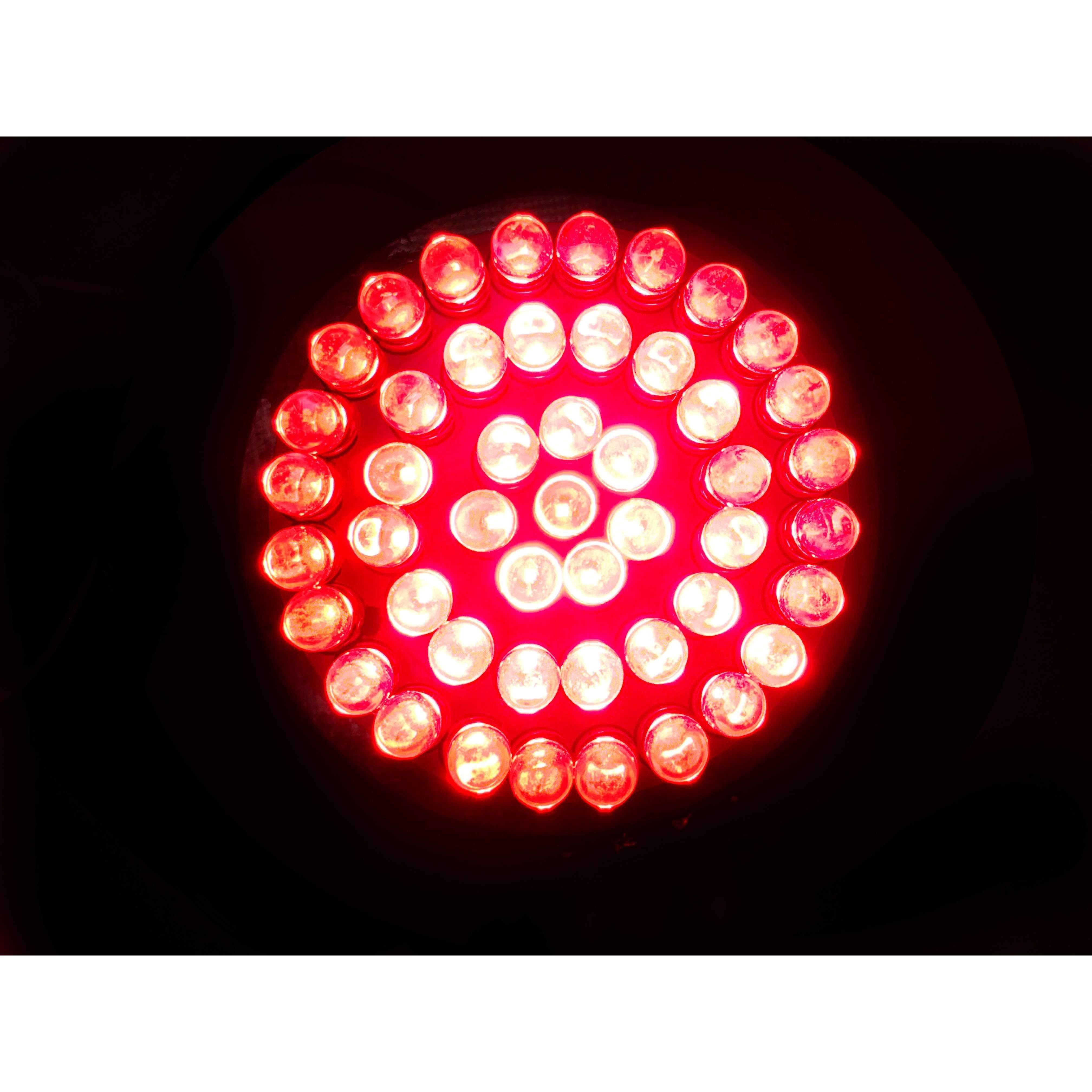 Eagle Lights 2