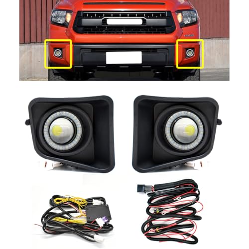Fog Light