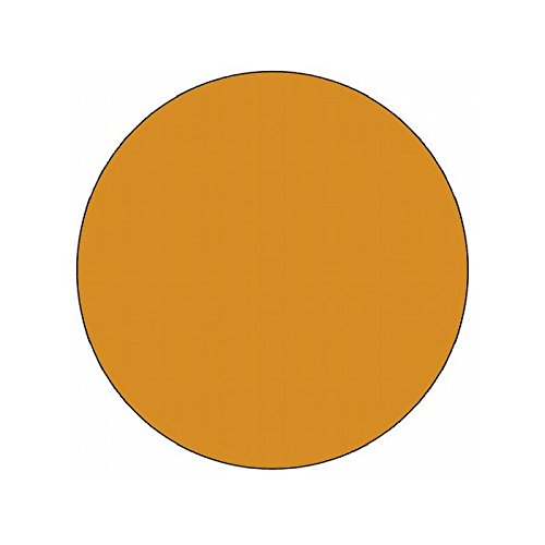 DL613H Fluorescent Orange Inventory Circle Labels - 2 Inch Diameter, Self-Adhesive Stickers for Warehouse, Retail & Office Organization