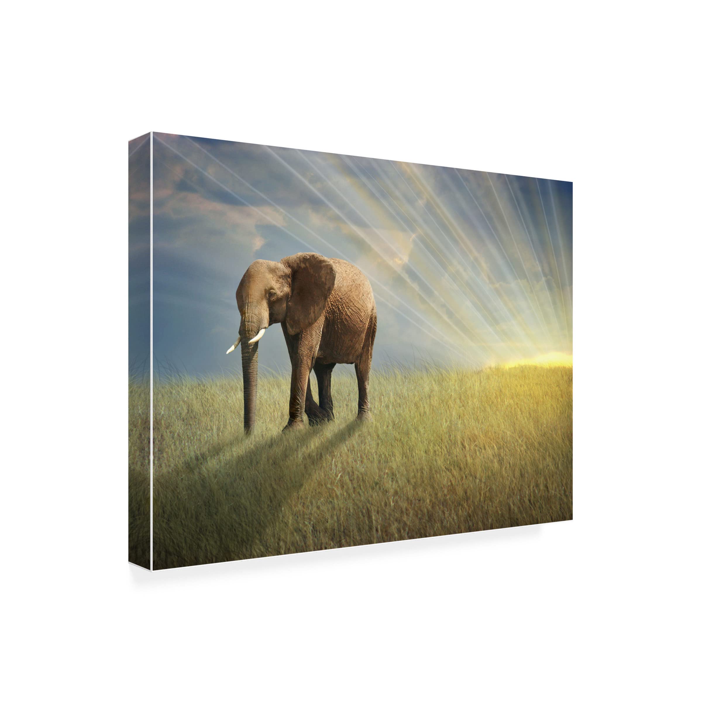 Ben Heine 'Walk With The Light' Canvas Wall Art Print - Modern Abstract Painting for Living Room, Bedroom & Office Decor | Trademark Fine Art Collection