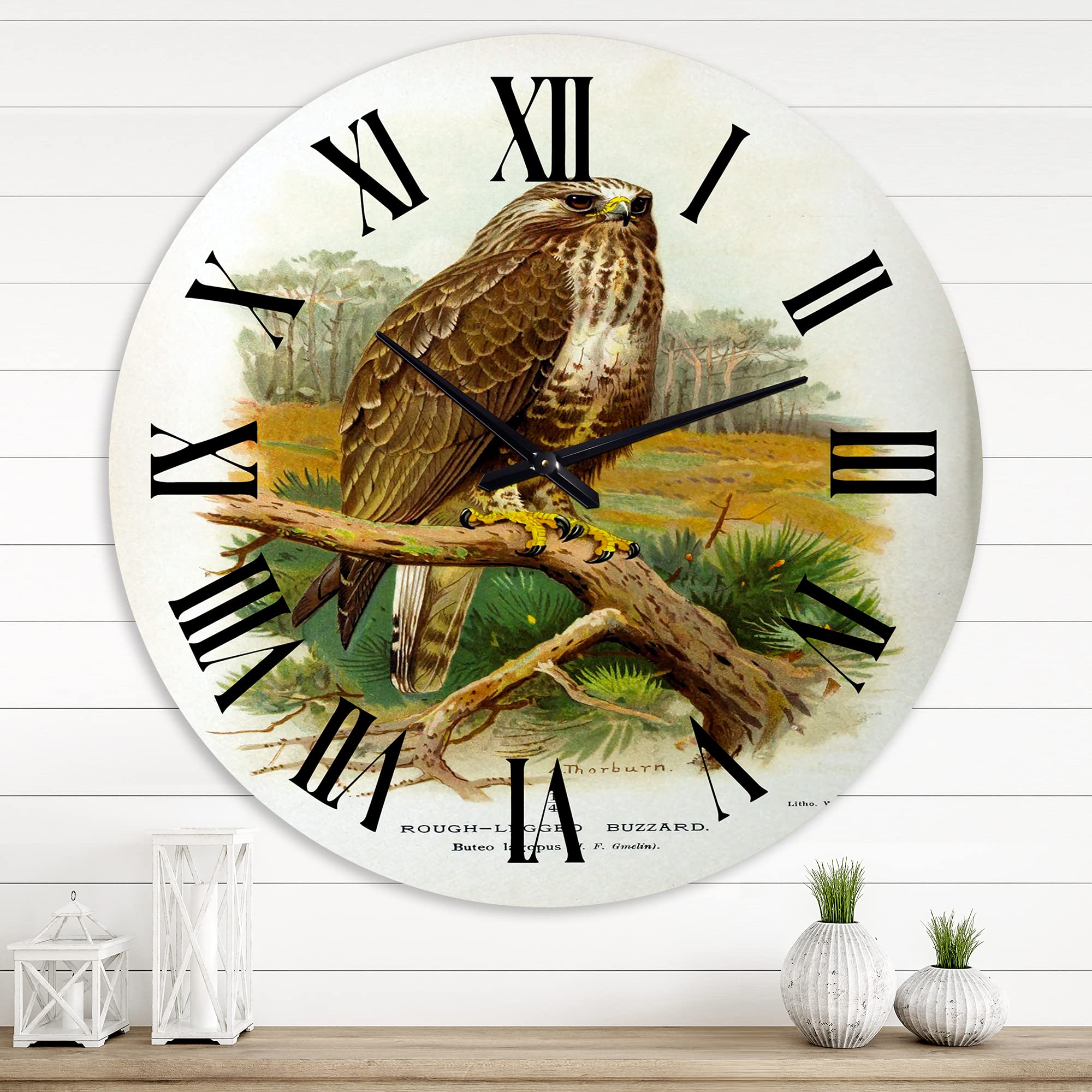 Vintage Bird Life IX Traditional Wall Clock - Large Landscape & Nature Wall Decor for Living Room, Bedroom, Office | Silent Non-Ticking, Battery Operated