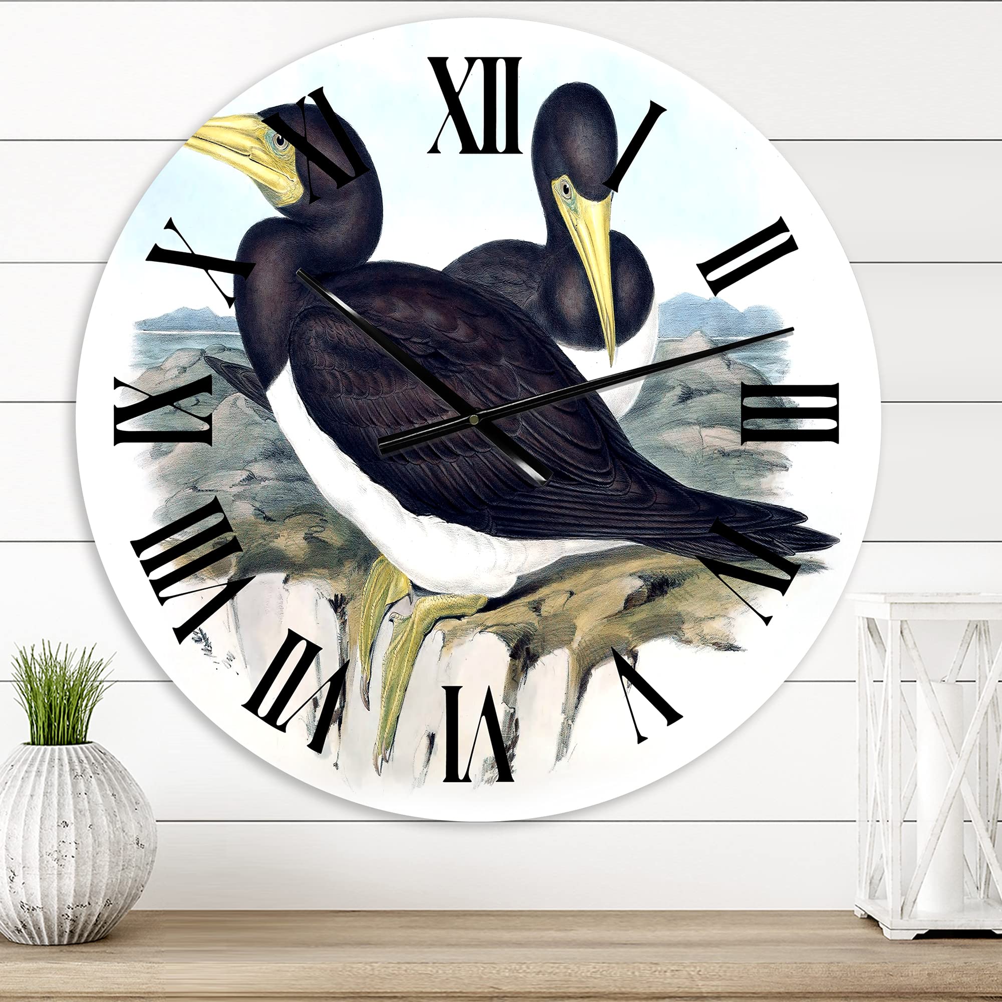 Vintage Australian Birds XII Wall Clock - Large Traditional Wall Clock for Home Decor, Living Room, Bedroom & Office - Nature Inspired Landscape Design for Wall Art & Interior Decoration