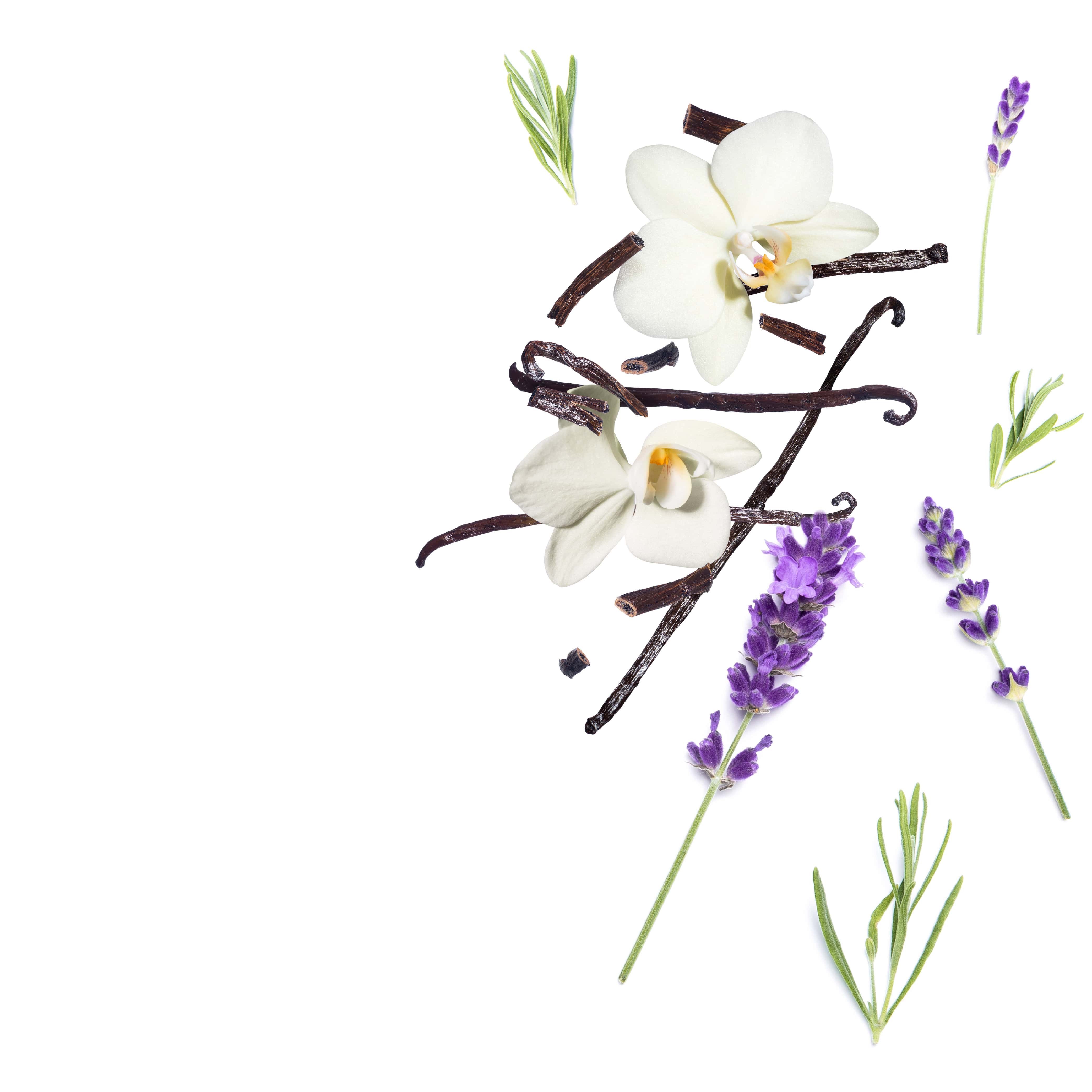 NO. 47 Lavender Vanilla Fragrance Oil for Soap Making & Candle Making - Relaxing Aromatherapy for Home Spa & Bedroom