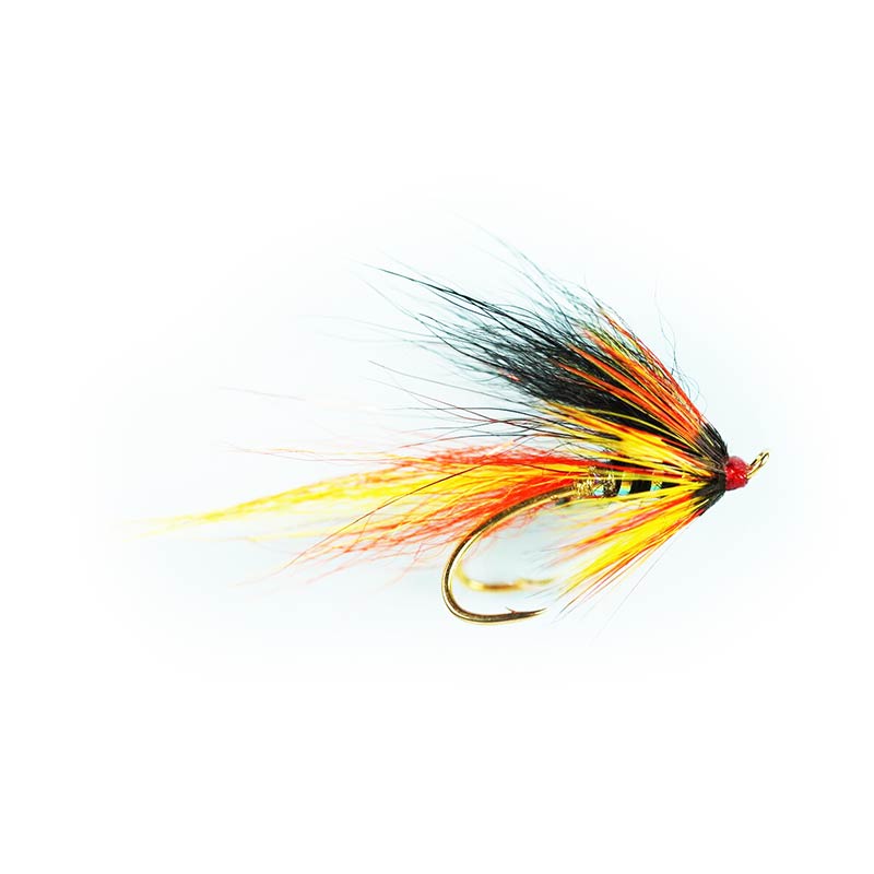 Premium Caledonia Park Shrimp Double Fly Fishing Lures - Saltwater & Freshwater Bass Trout Fishing Gear for Anglers - Perfect for Stream, Lake, and Ocean Fishing Adventures