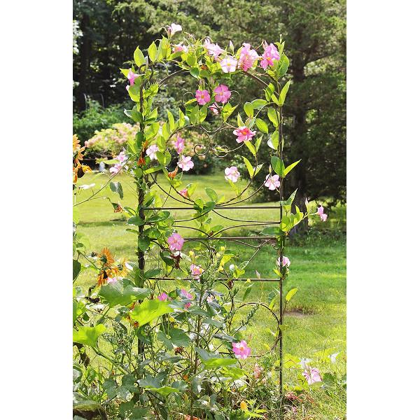 Ferro Firenze Garden Trellises - Decorative Metal Plant Supports for Climbing Flowers, Vines & Roses | Perfect for Outdoor Gardens, Patios & Vertical Landscaping